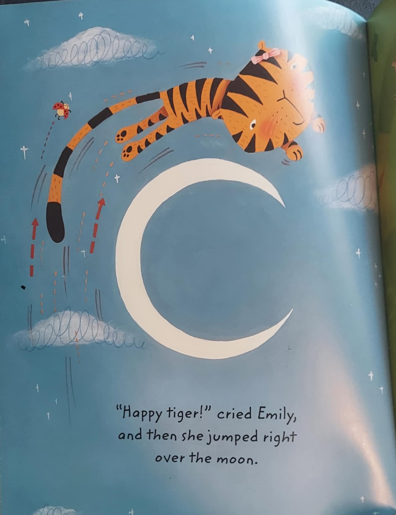 pgse emily tiger moon.jpg