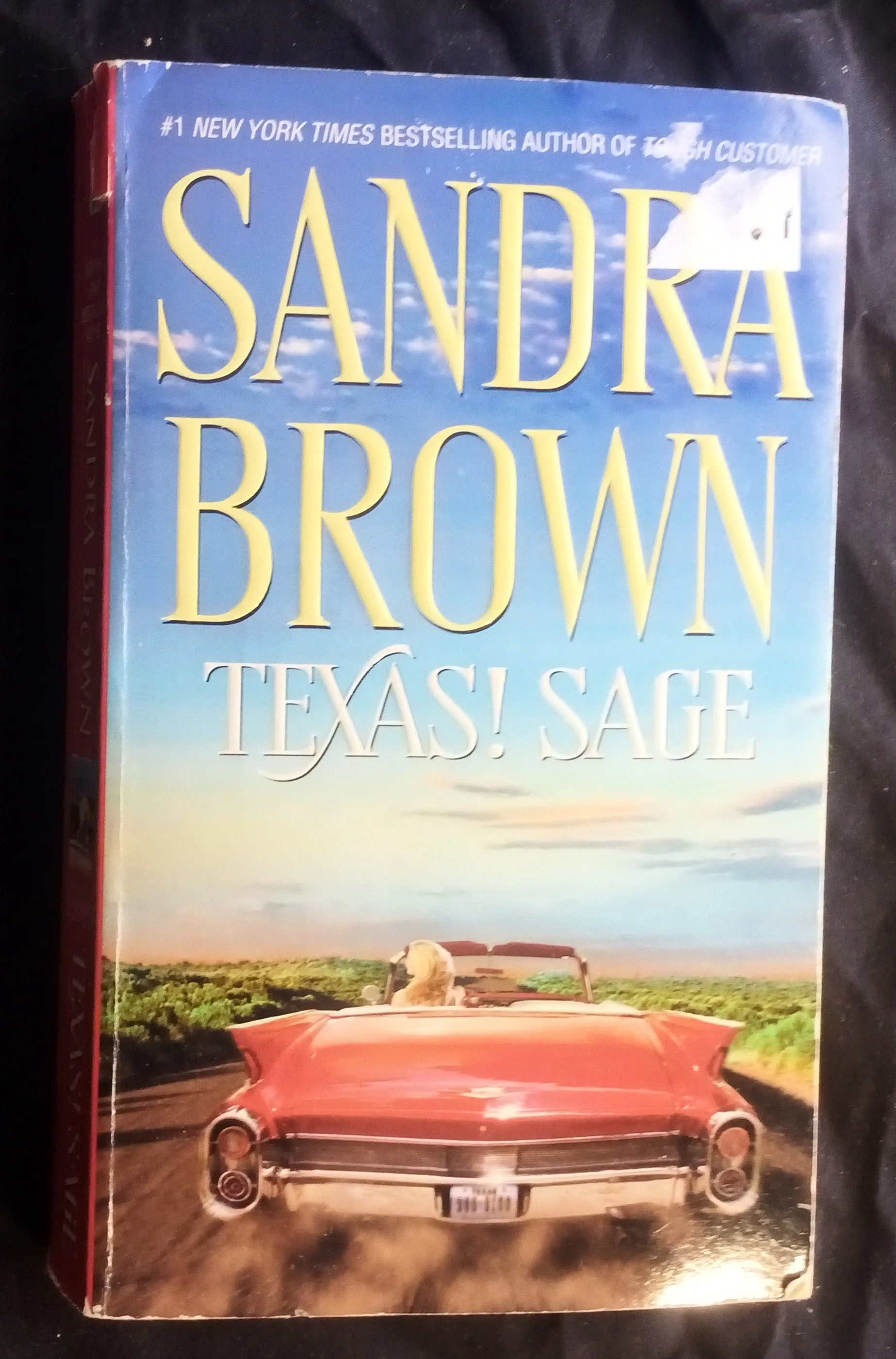 Texas! Sage (#3) by Sandra Brown