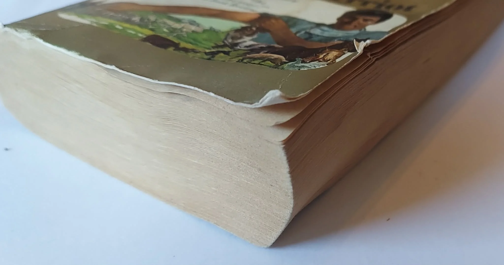 pgse all outside.jpg