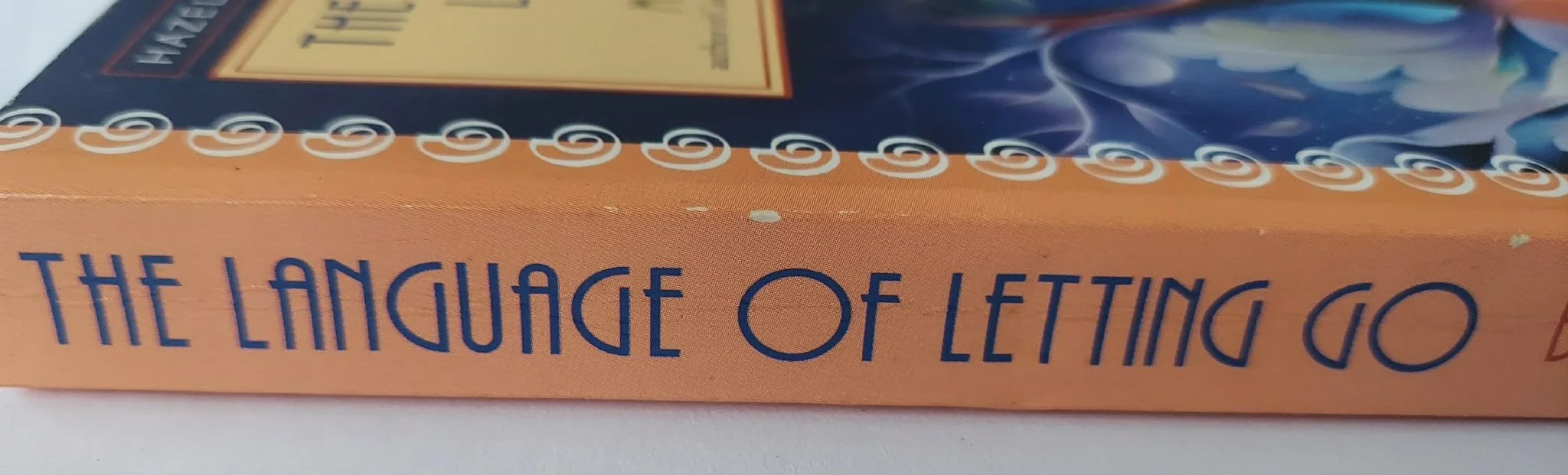 pgse letting spine.jpg