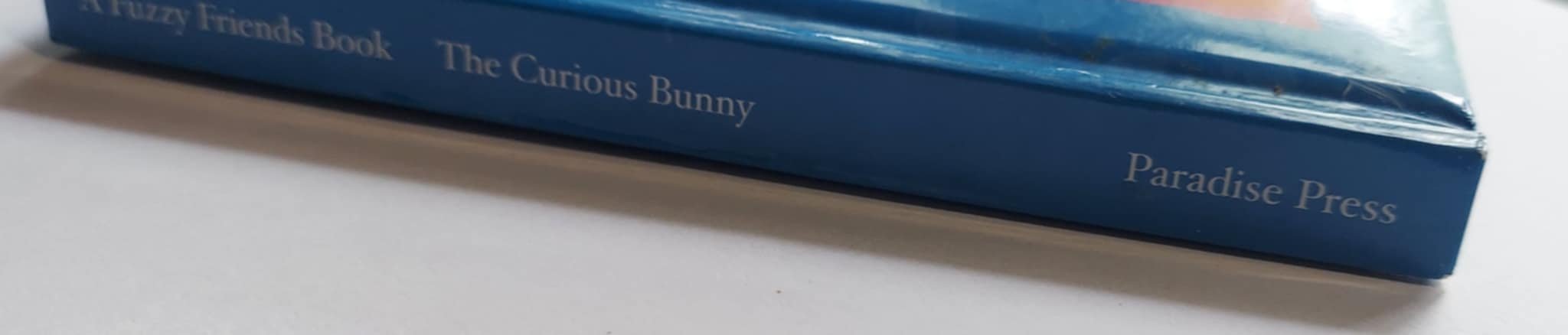 pgse curious spine.jpg