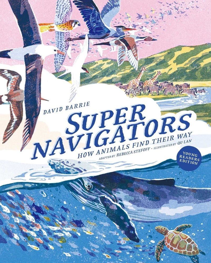 pgse navigators.jpg