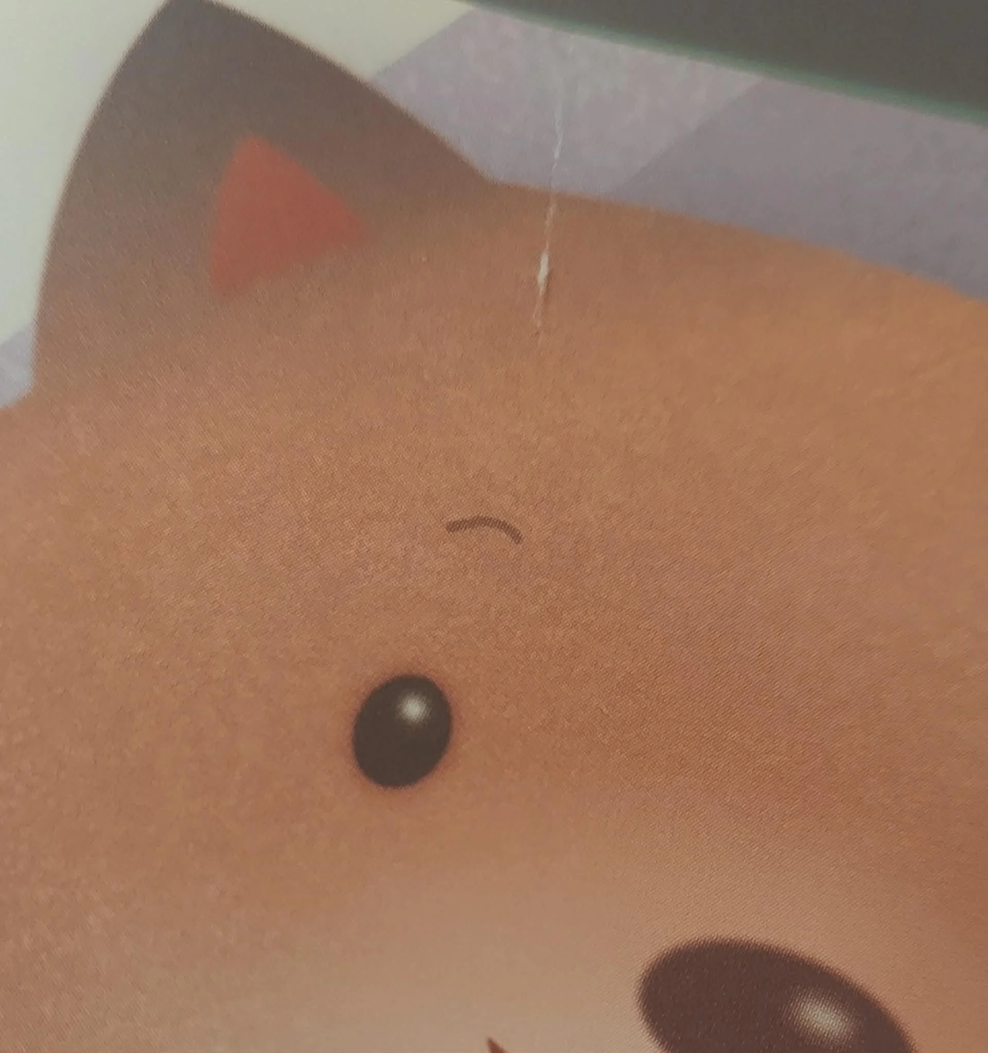 1000001959.jpg