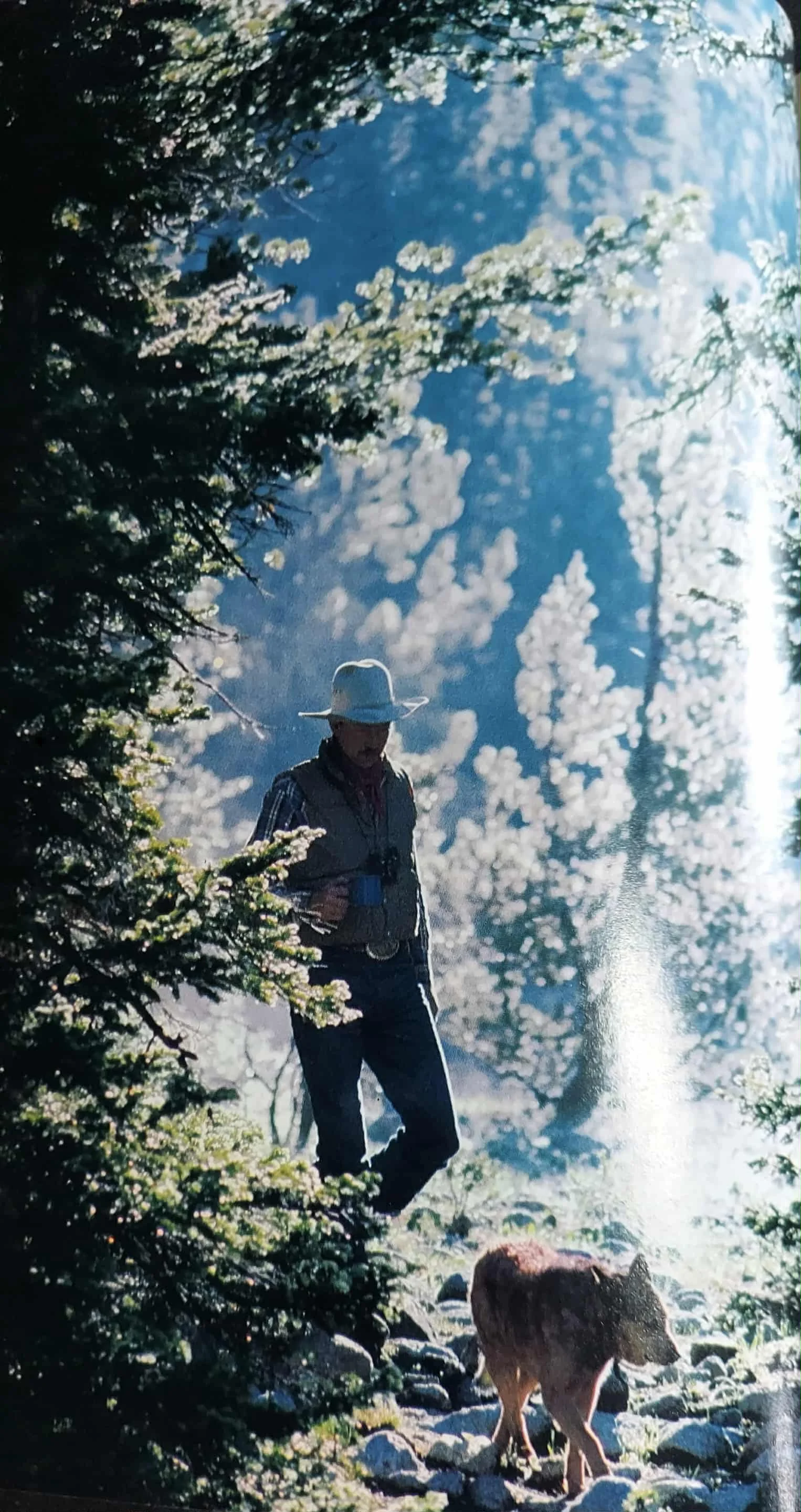 pgse yellowstone inside.jpg