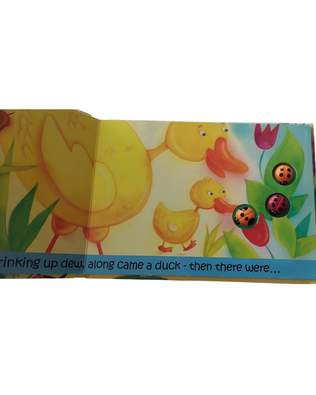 Untitled design (22).png