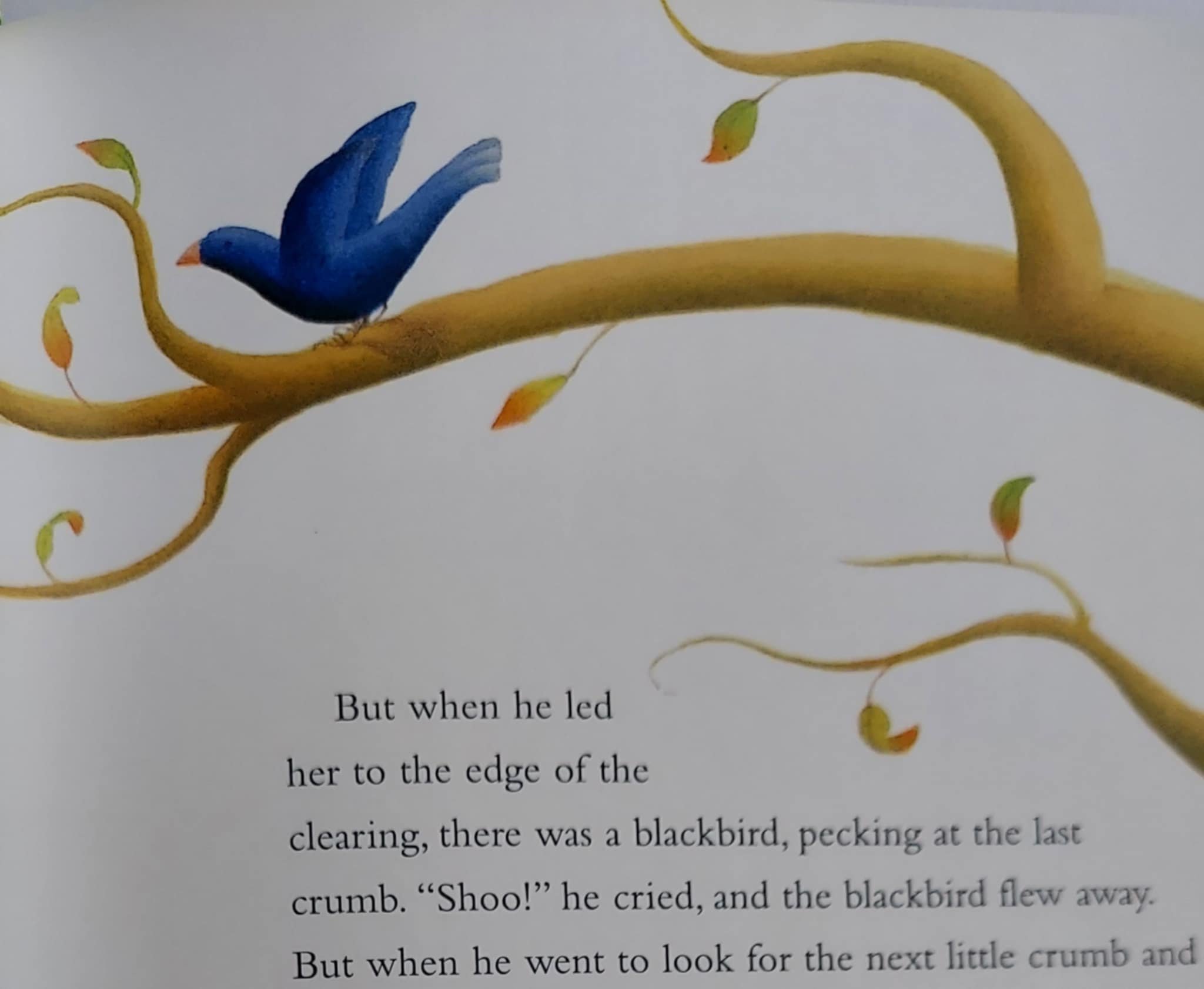 pgse book of inside bird.jpg