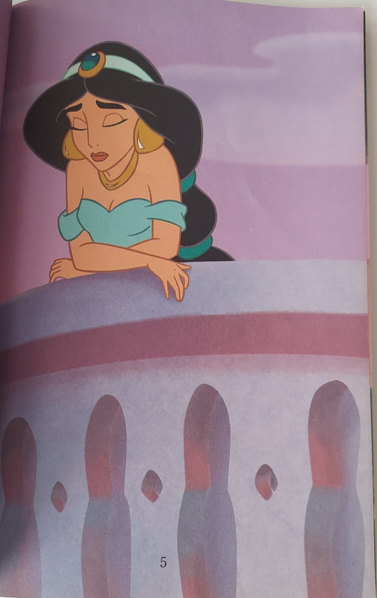 pgse pet inside 1.jpg