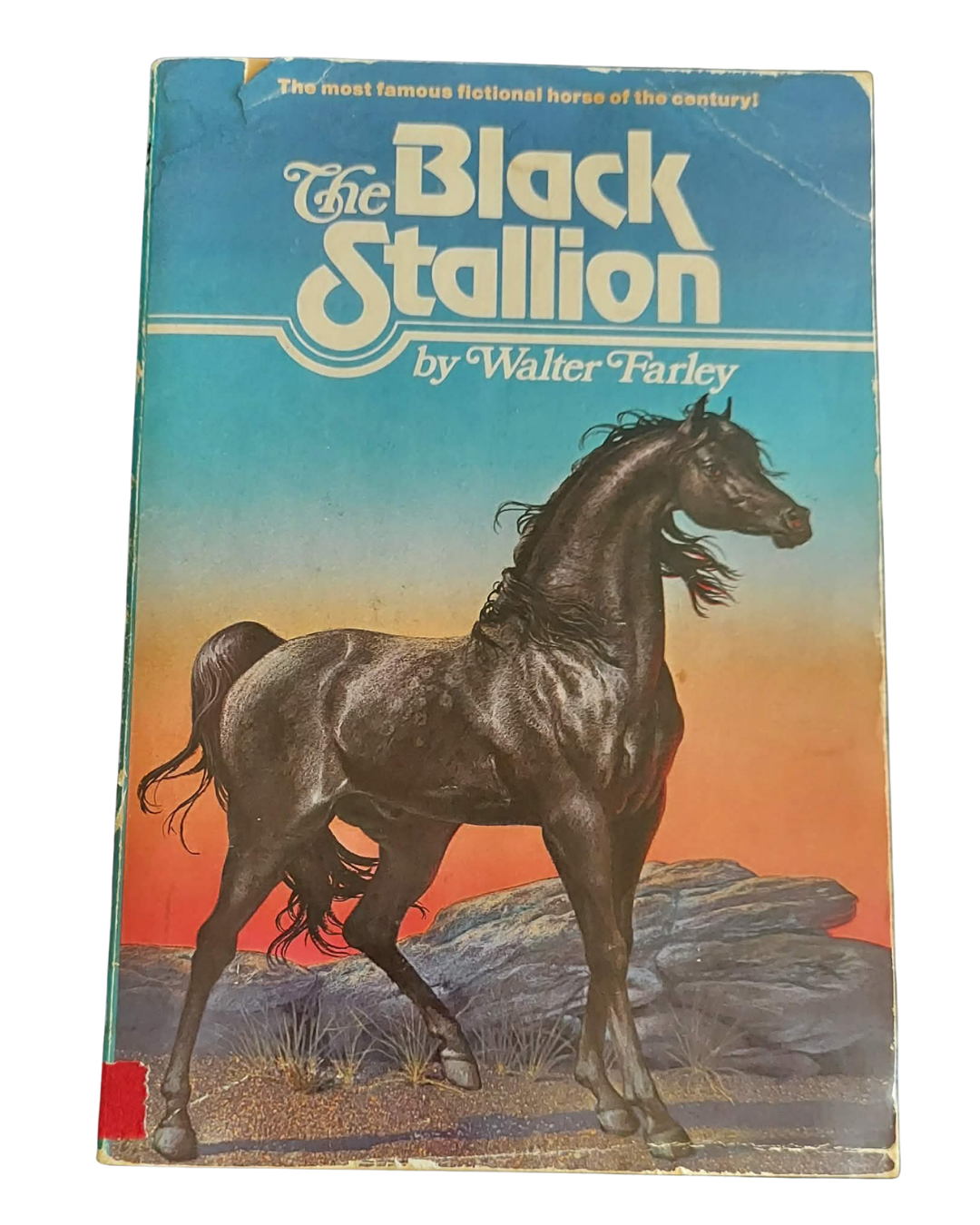 pgse black stallion 1.png