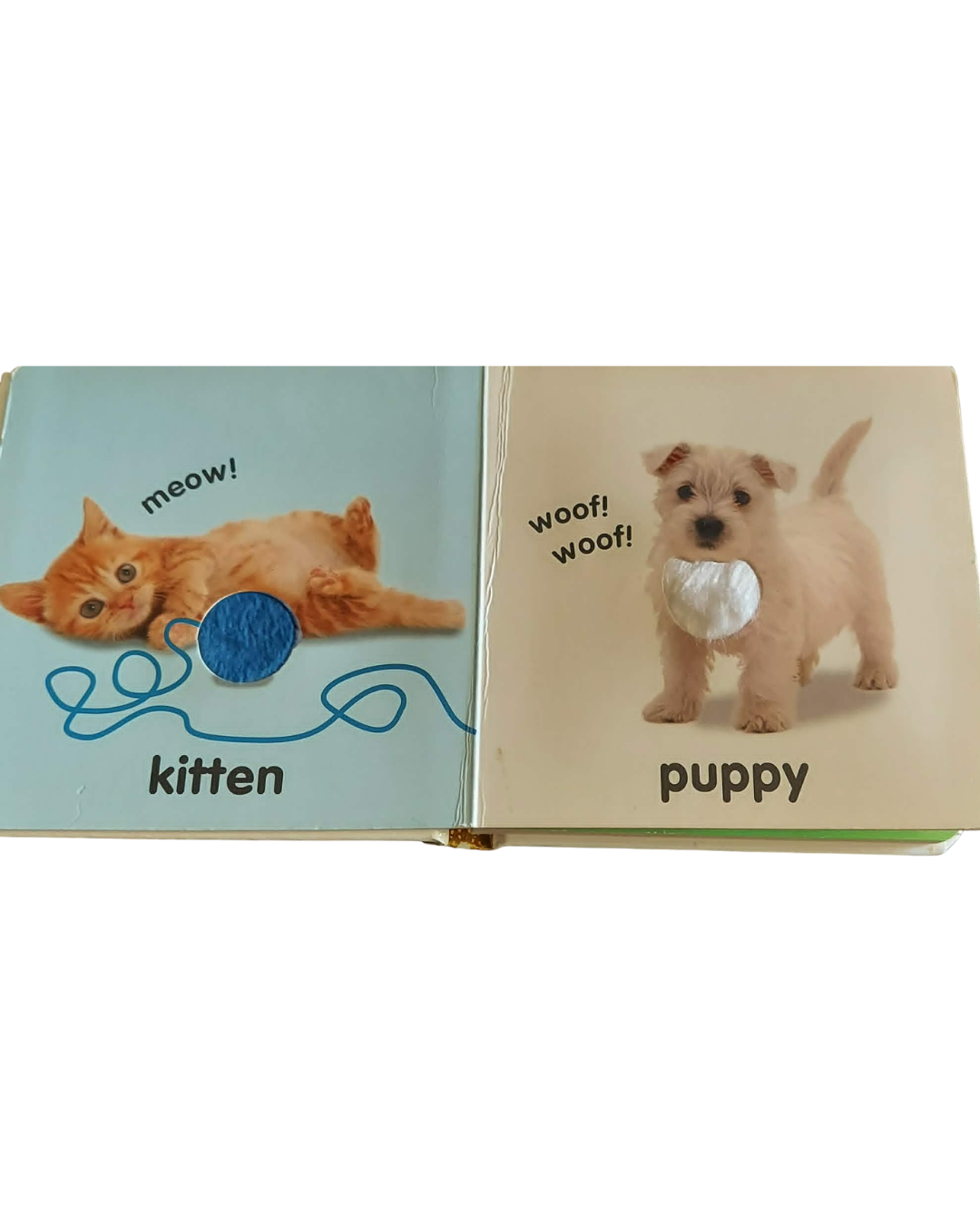 Untitled design (12).png
