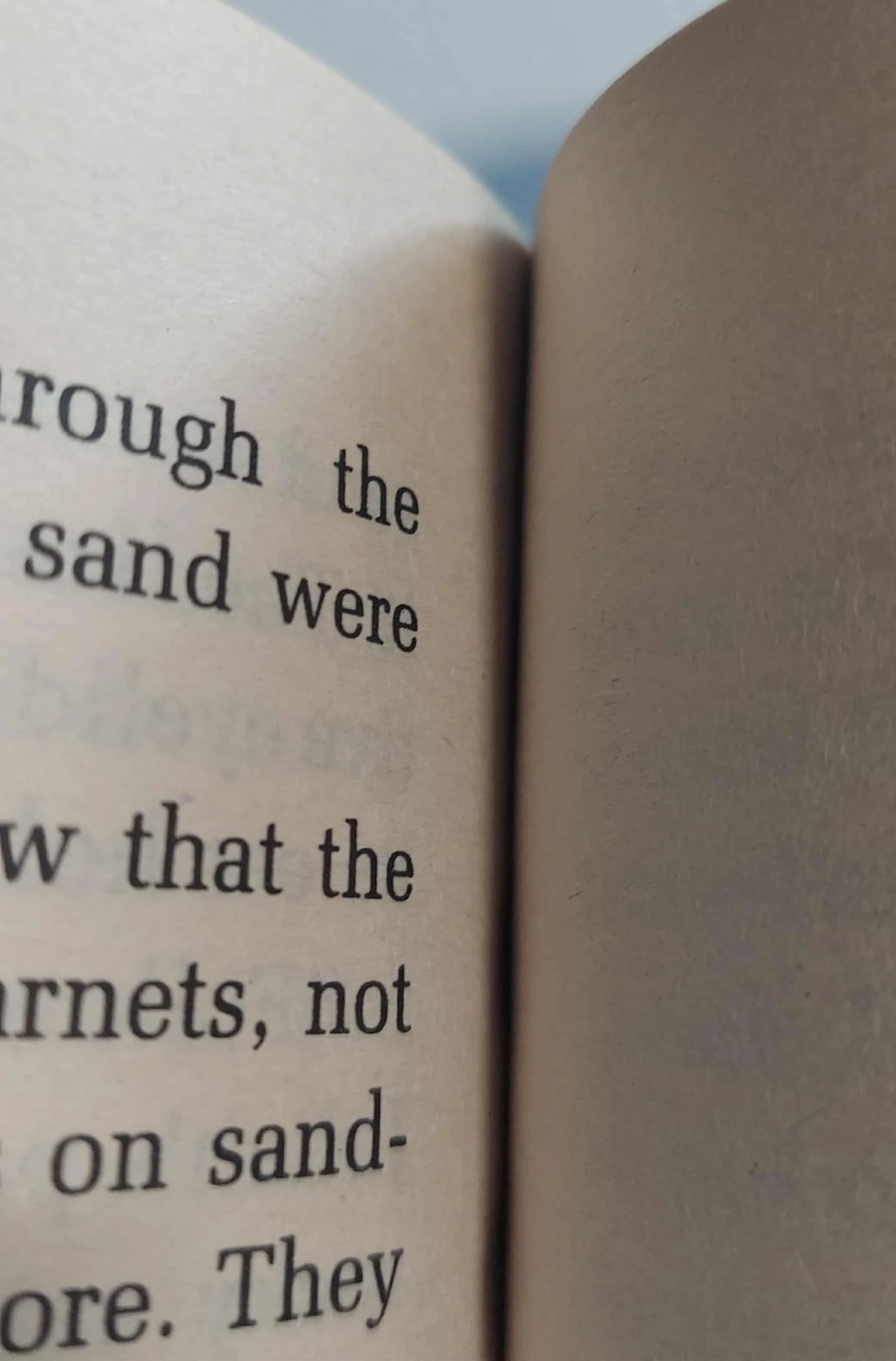 pgse leaper inside.jpg