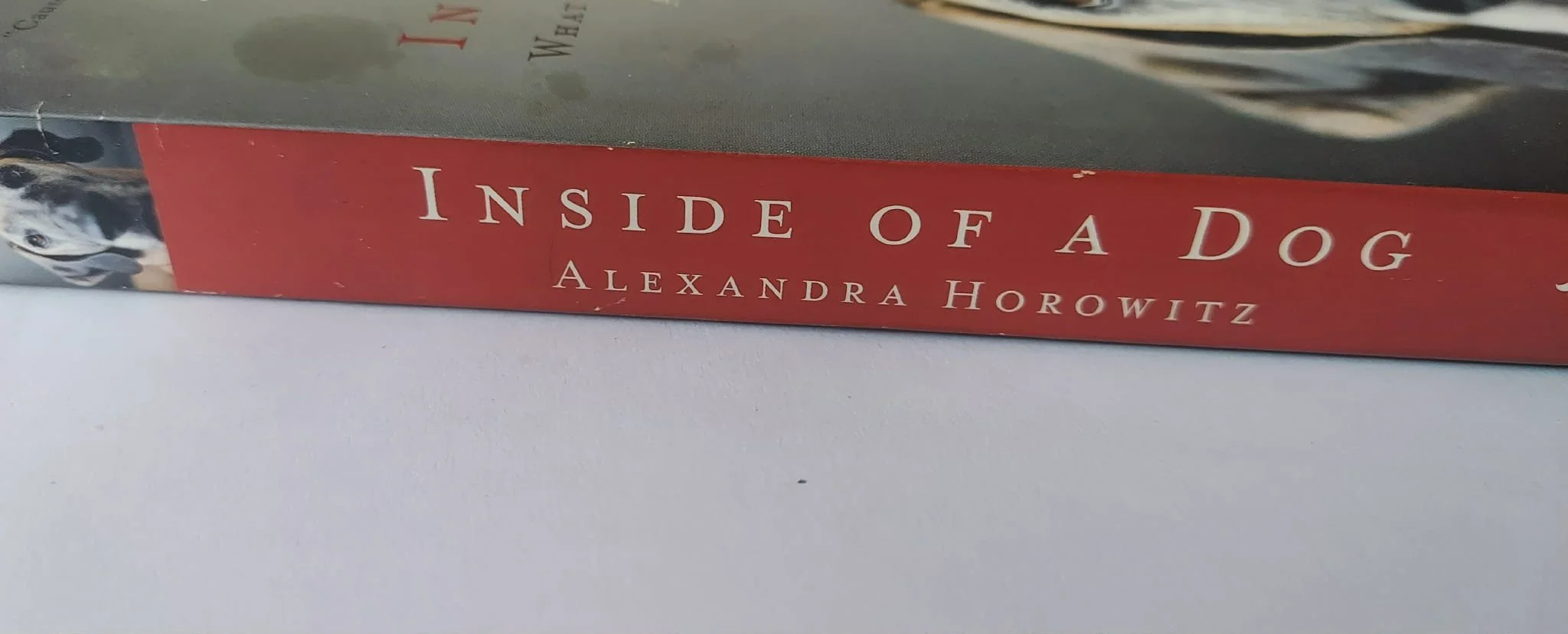 pgse inside spine.jpg