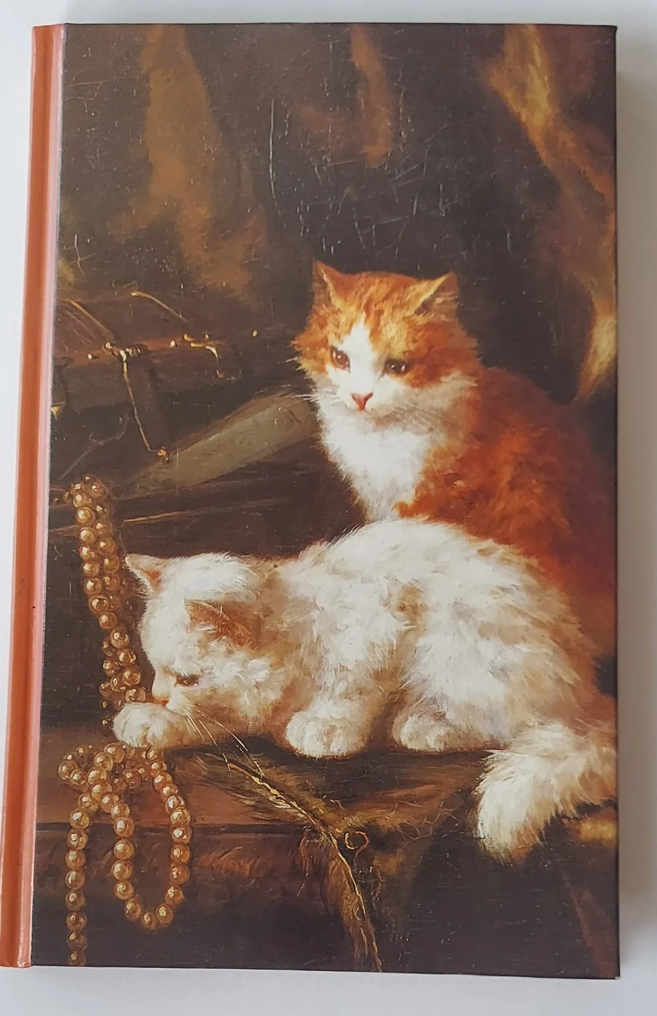 pgse cat front.jpg