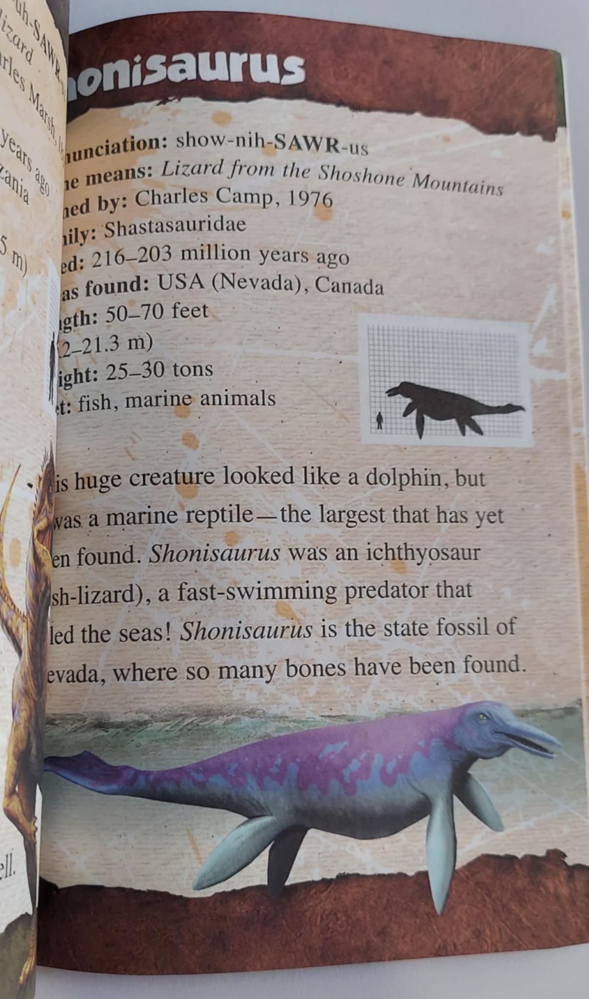 pgse dino inside.jpg