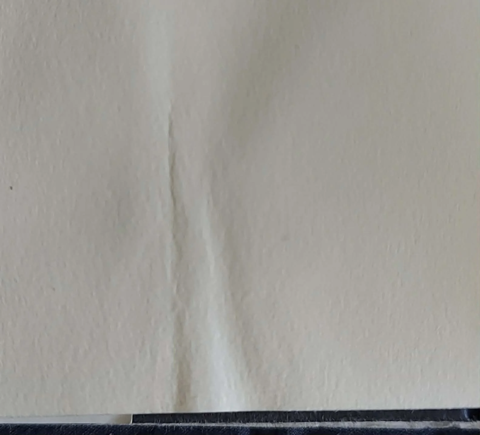 1000002206.jpg