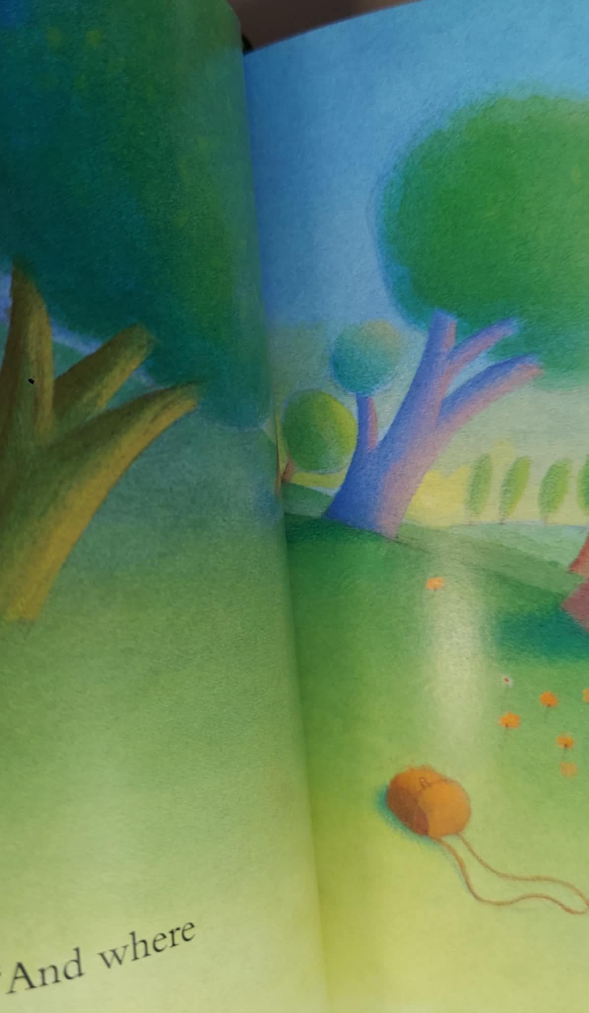 pgse book o inside.jpg