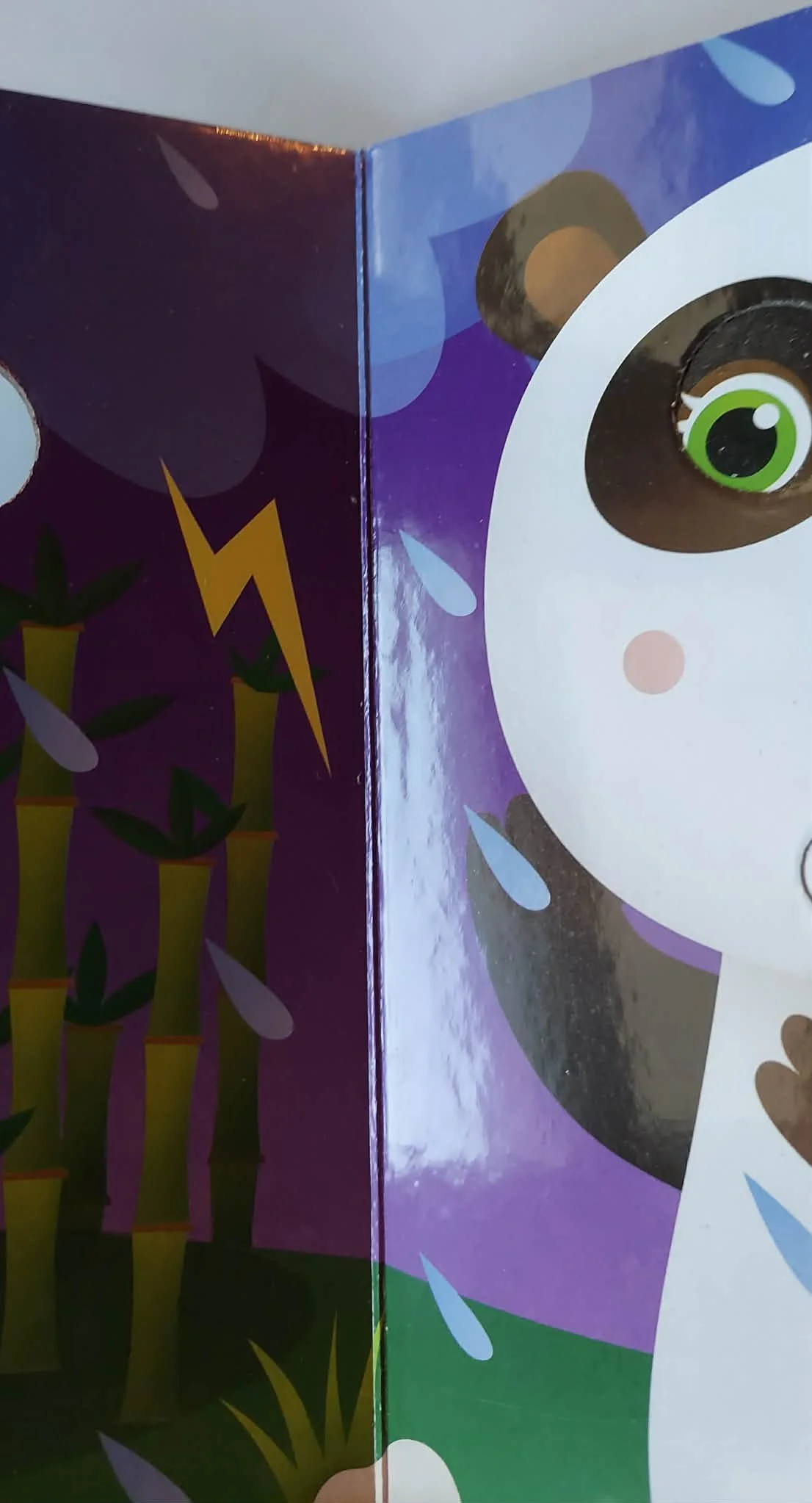 pgse penelope inside.jpg