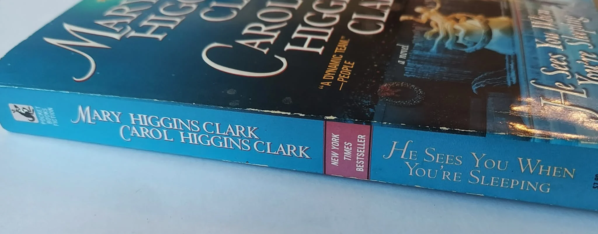 pgse he can spine.jpg