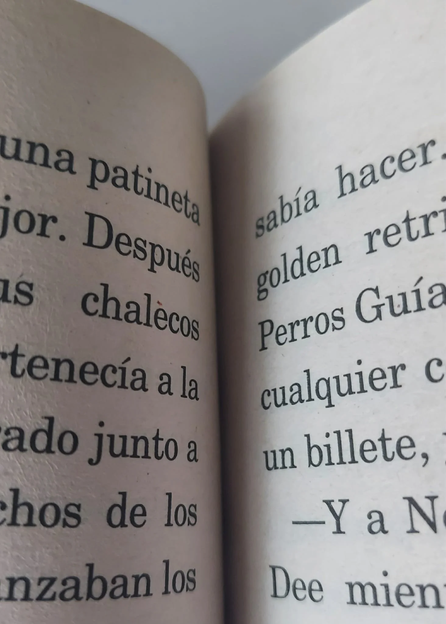 pgse miel inside.jpg