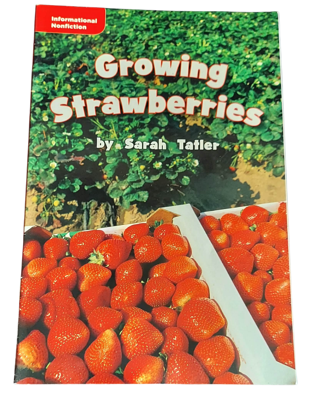 Growing Strawberries by Sarah Tatler