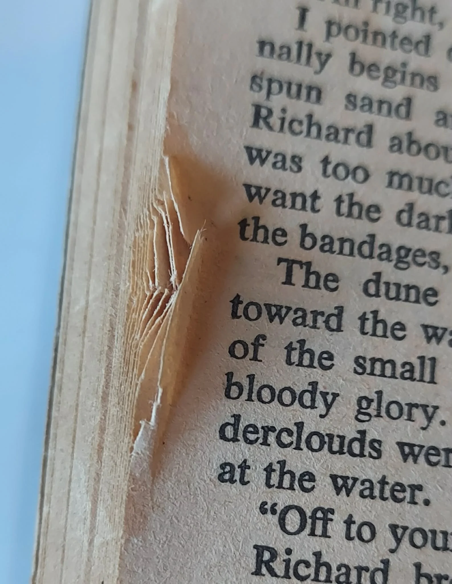 pgse night pages.jpg