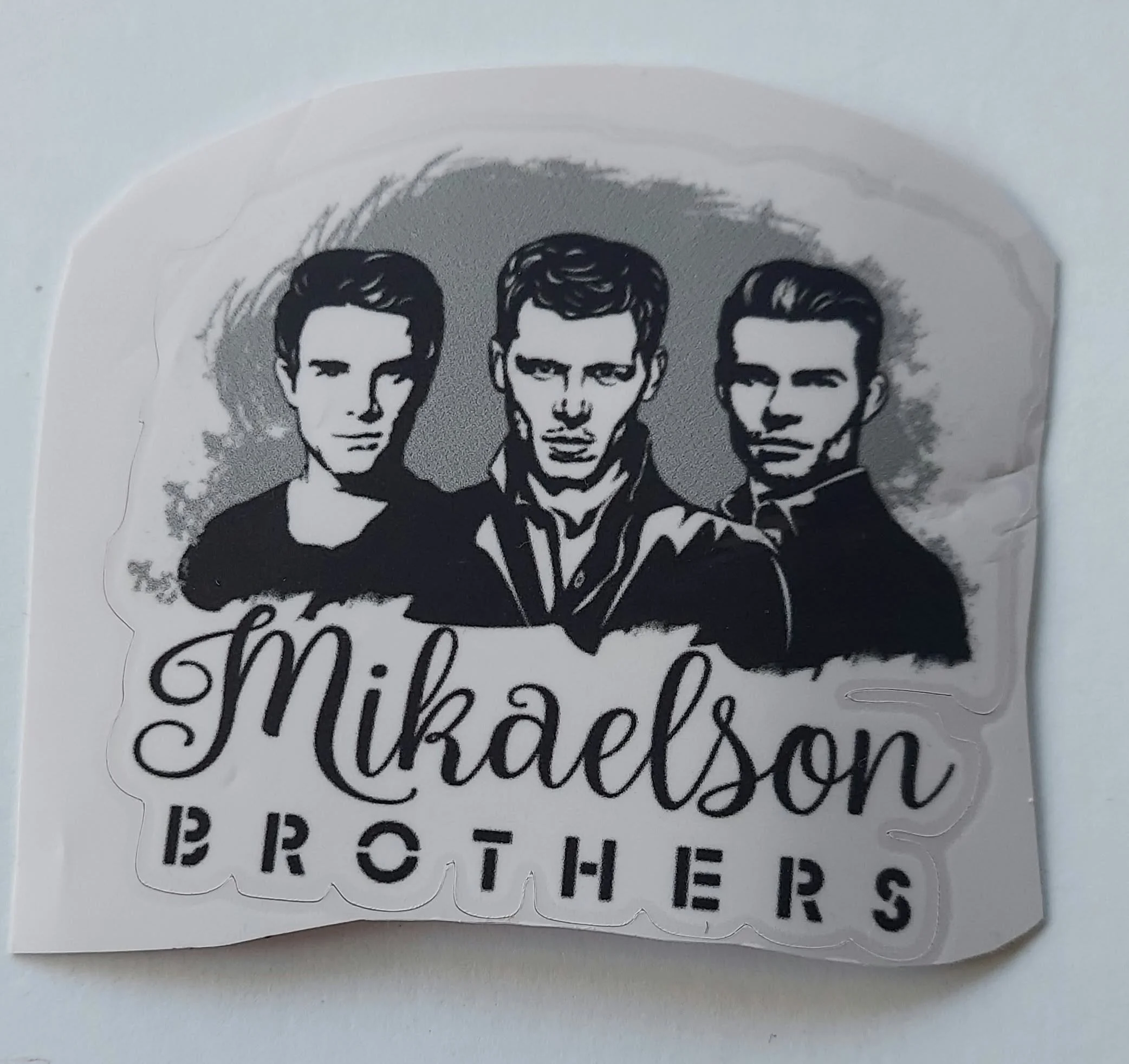 pgse mikalsons.jpg