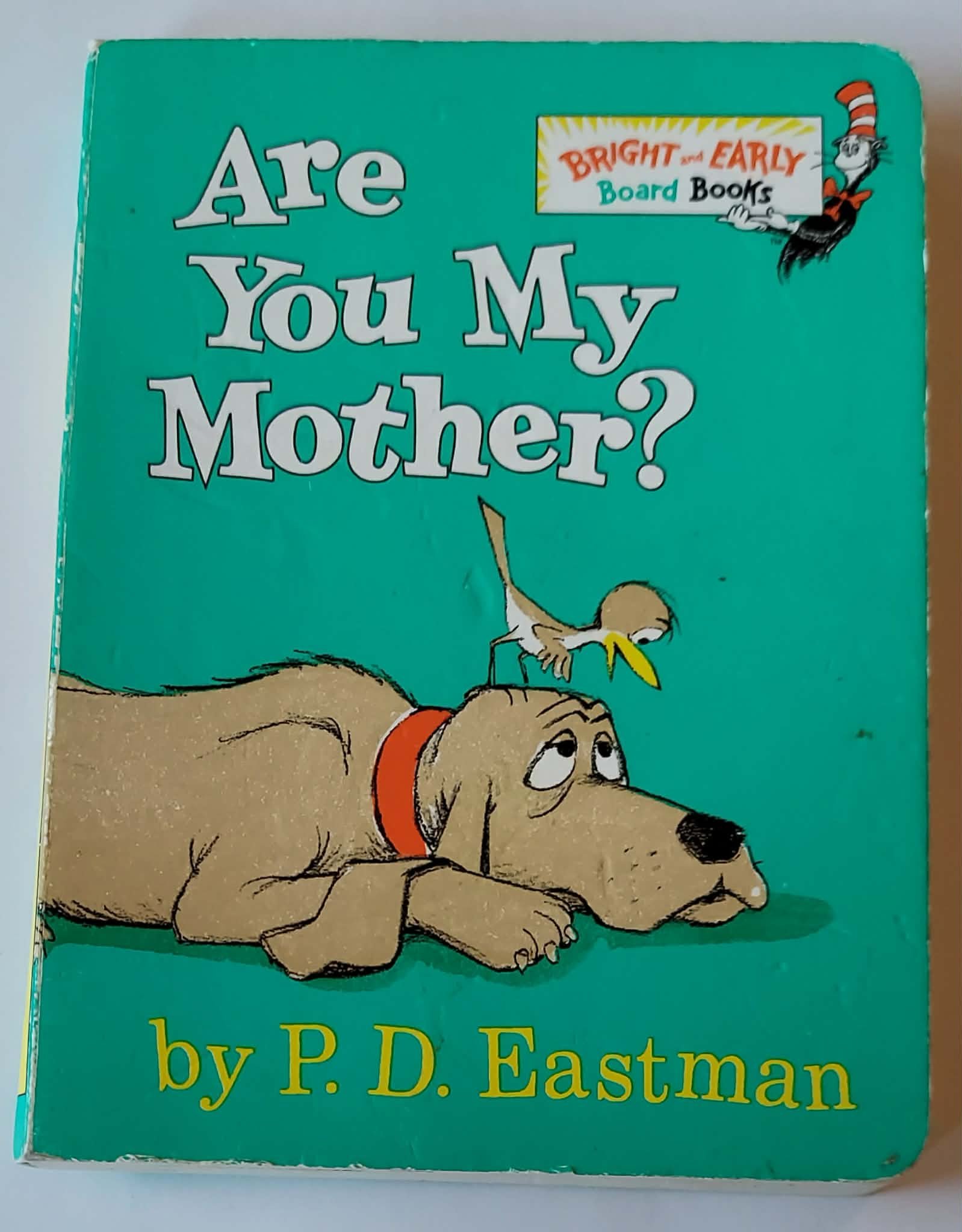 pgse are you front.jpg