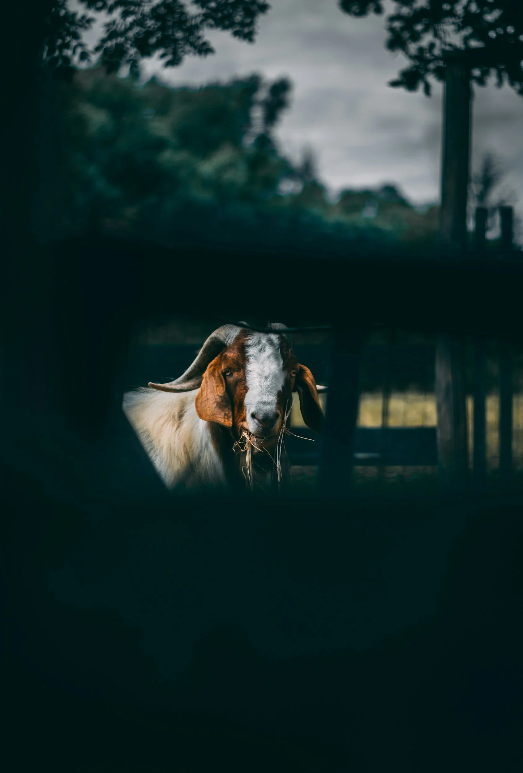 unsplash-image-rHGlTvMJA_o.jpg