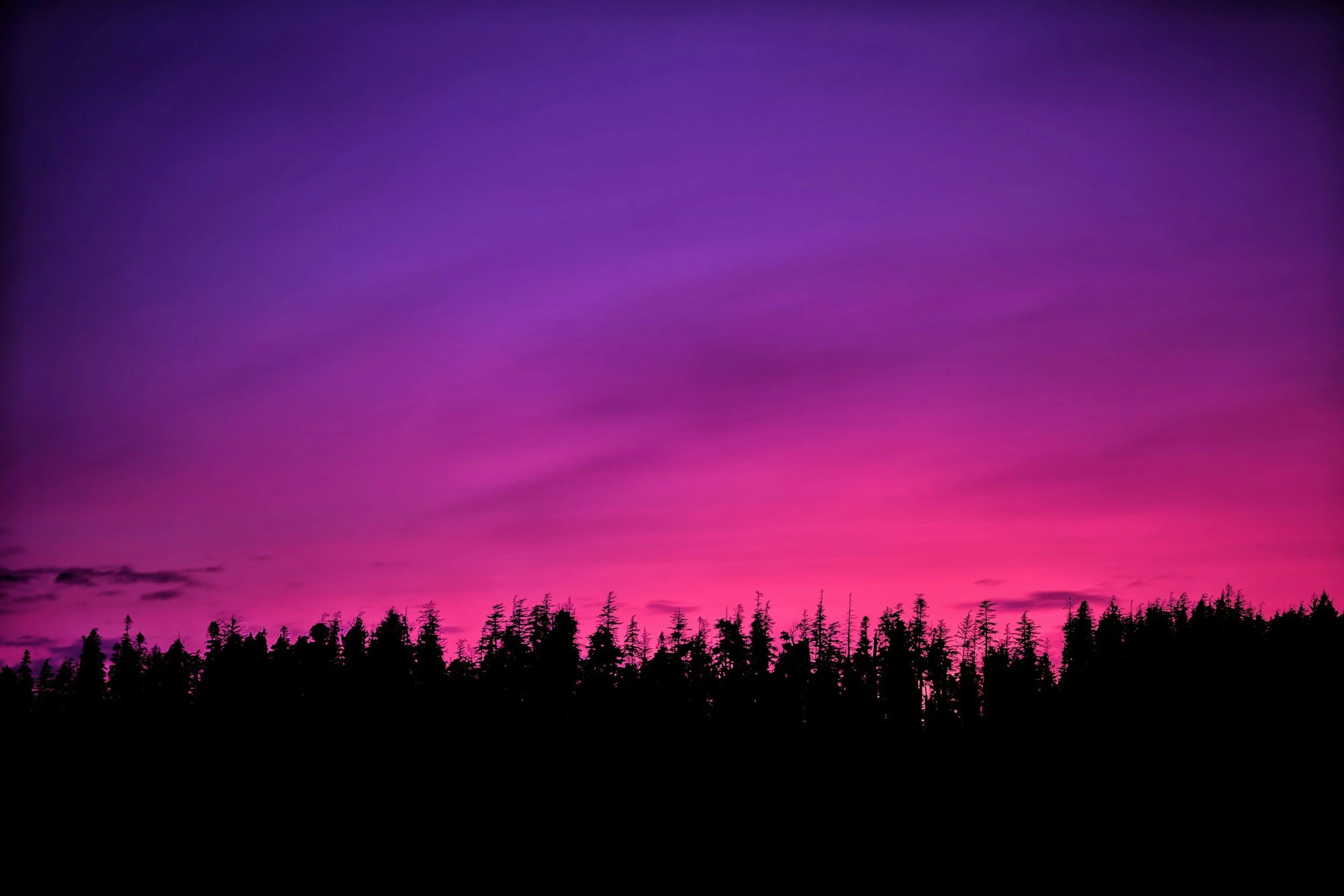 unsplash-image-PQLp_O5k4_o.jpg