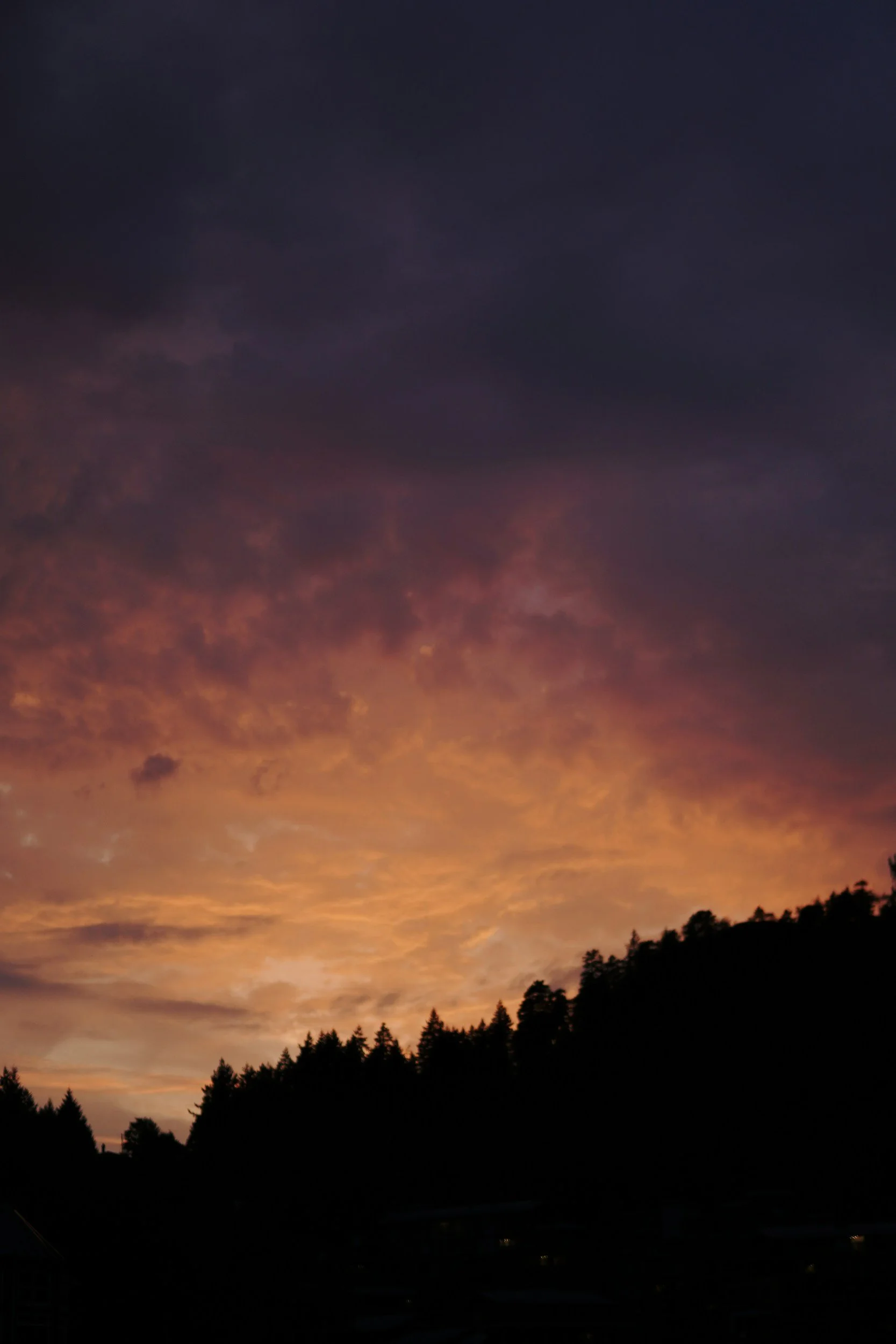 unsplash-image-1XafhG5CbS8.jpg