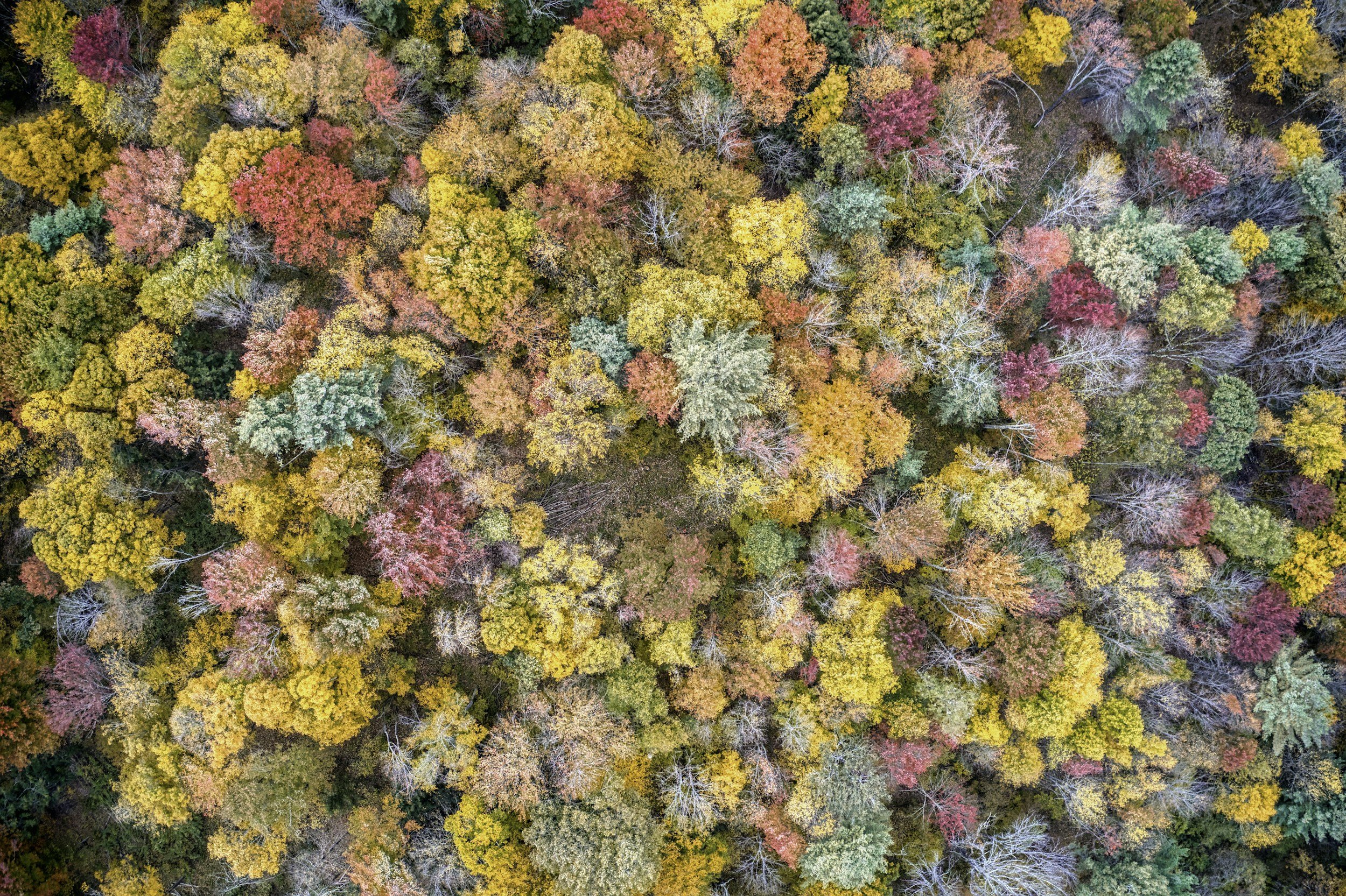 unsplash-image-zY_ww-aVYSU.jpg