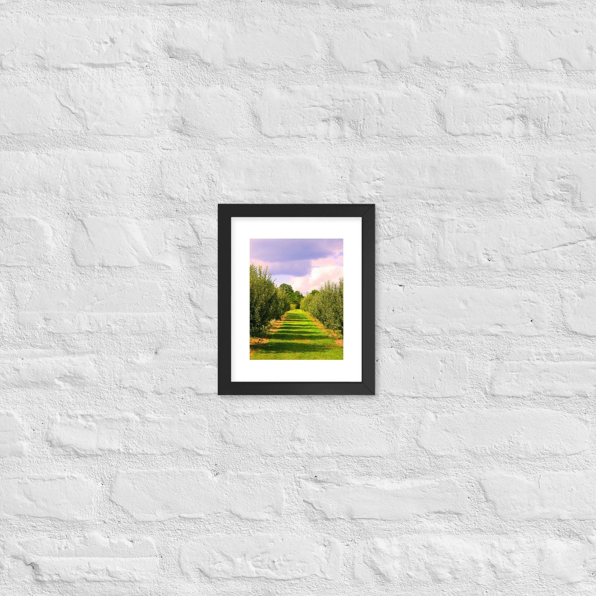 premium-luster-photo-paper-framed-poster-(in)-black-8x10-front-68d9d540d0e1e.jpg