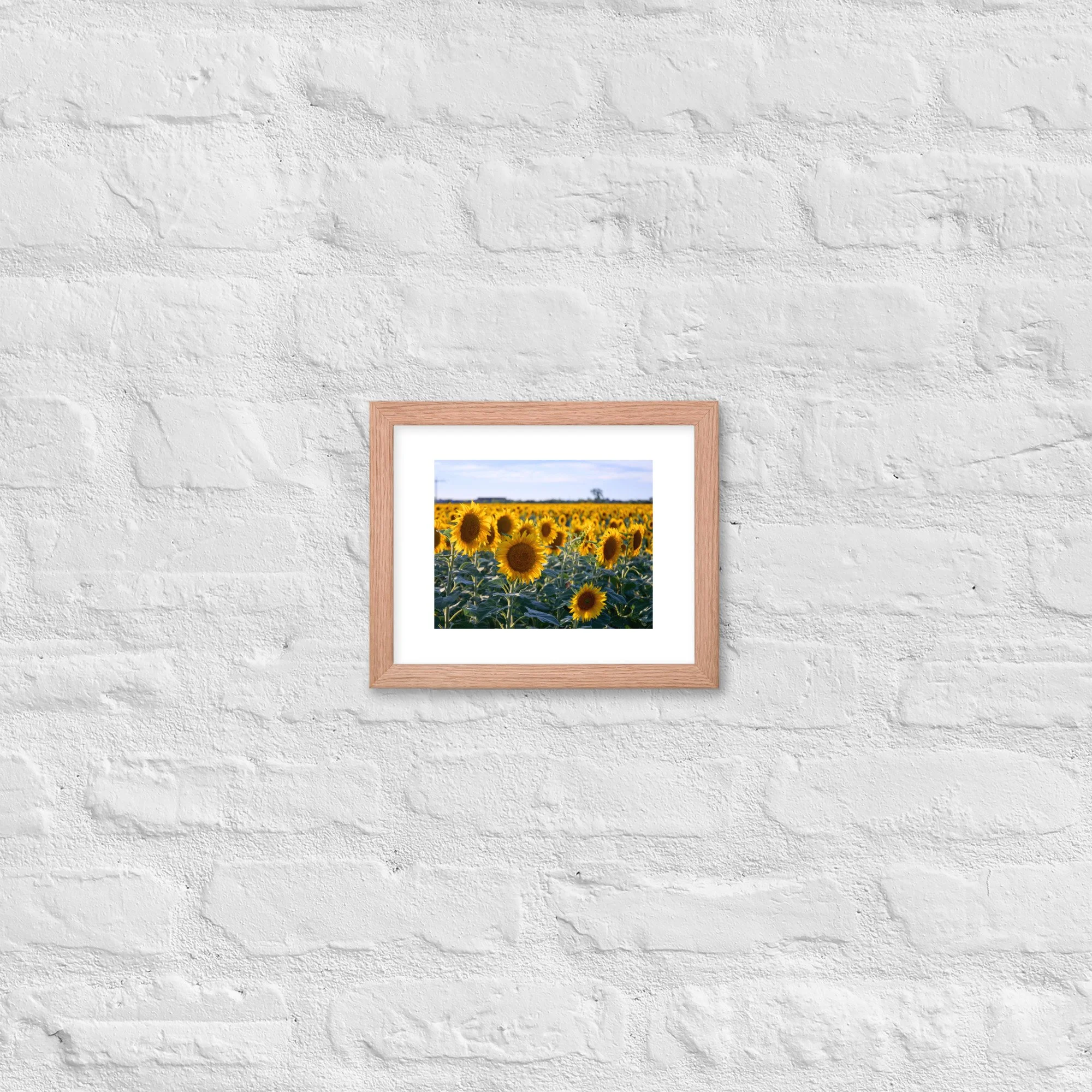 premium-luster-photo-paper-framed-poster-(in)-red-oak-8x10-front-68d9d9f0656a6.jpg
