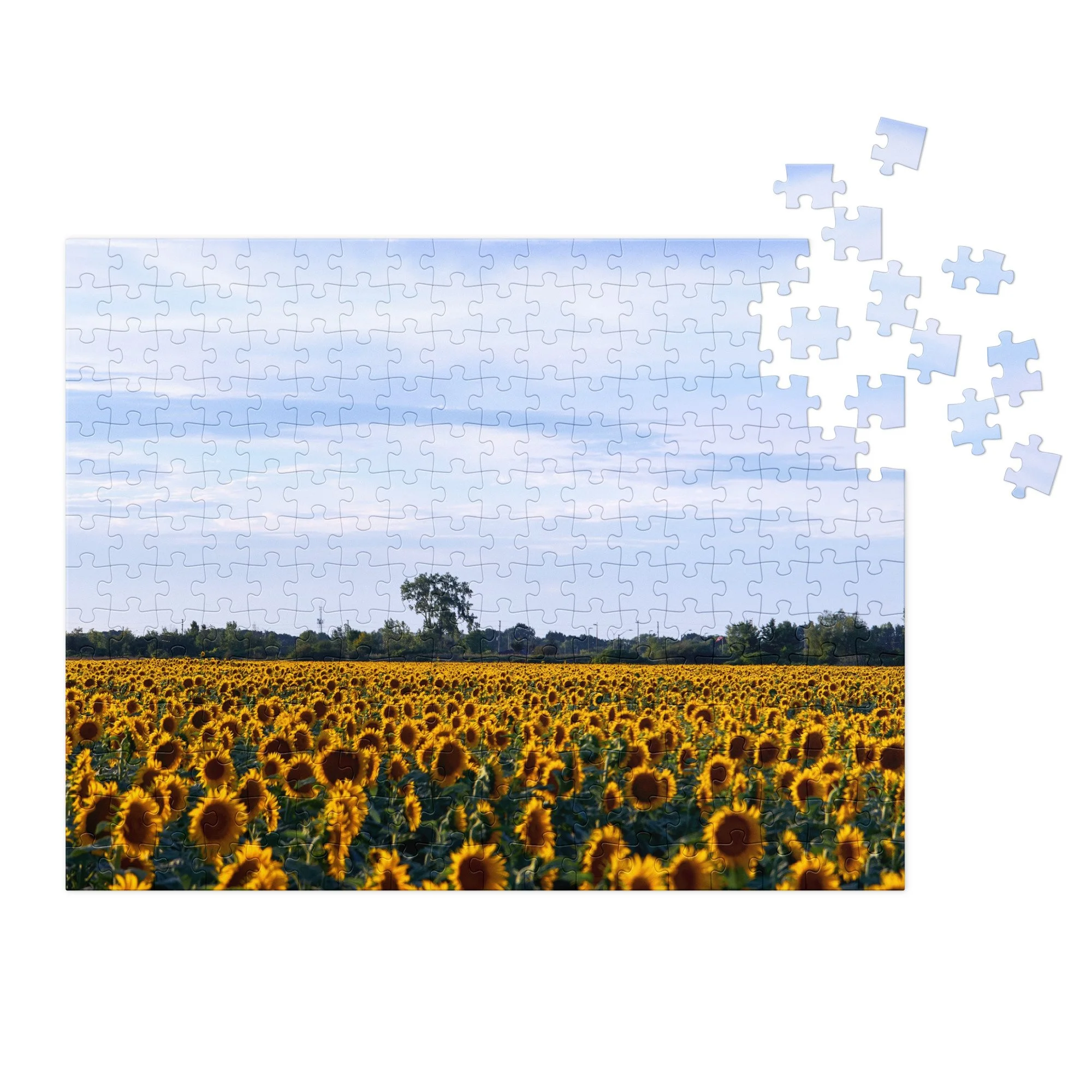 jigsaw-puzzle-with-tin-white-(glossy)-14x11-(252-pcs)-front-68db05f93632c.jpg