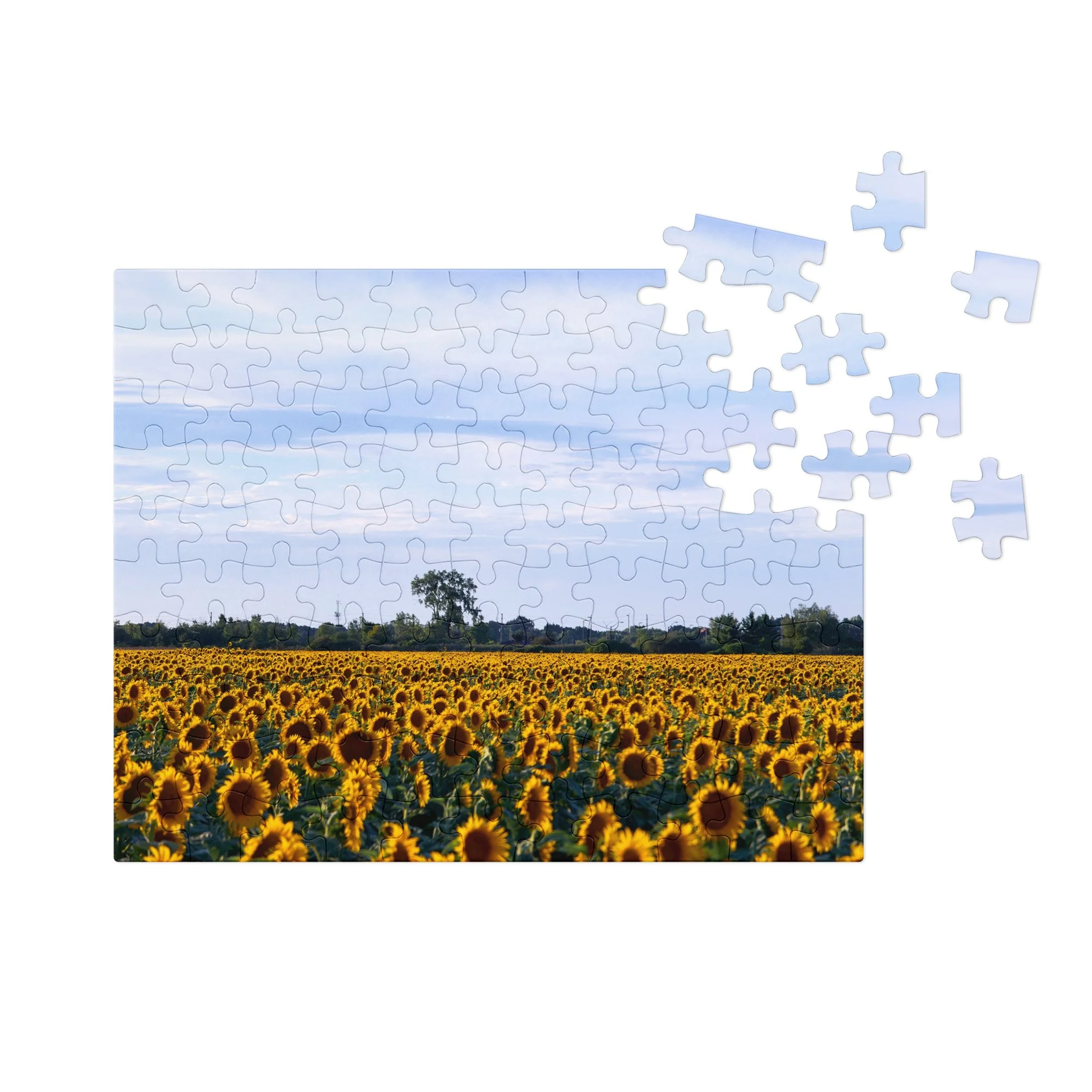 jigsaw-puzzle-with-tin-white-(glossy)-10x18-(110-pcs)-front-68db05f9370d8.jpg