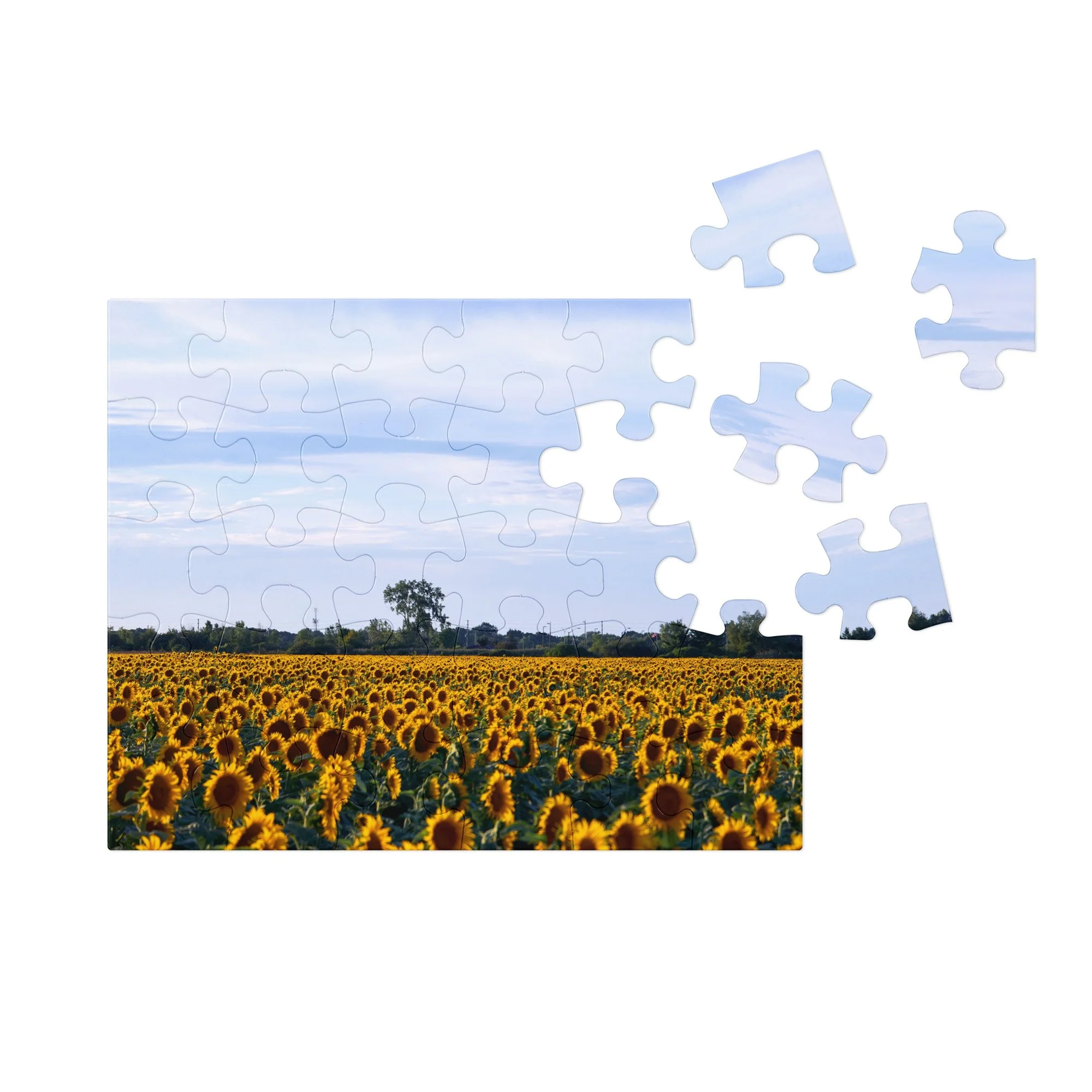 jigsaw-puzzle-with-tin-white-(glossy)-10x18-(30-pcs)-front-68db05f9371bc.jpg