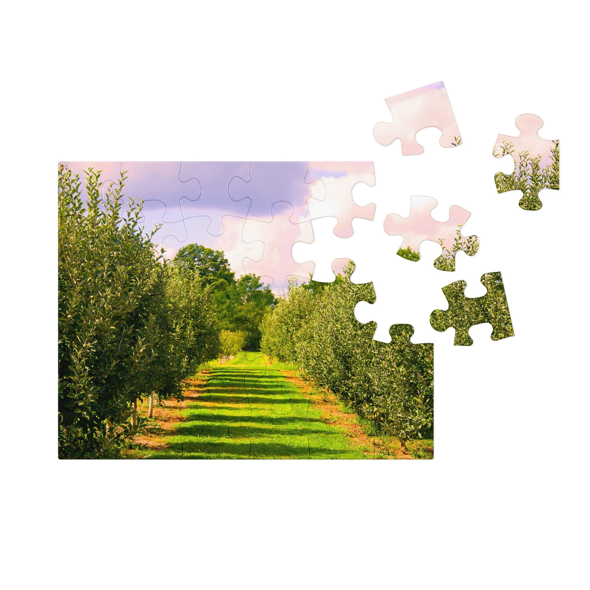 jigsaw-puzzle-with-tin-white-(glossy)-10x18-(30-pcs)-front-68db0dd16d1c9.jpg