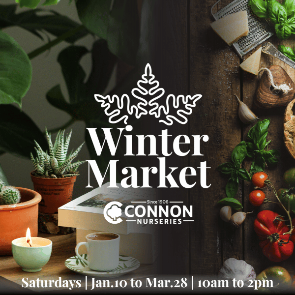 Connon Winter Artisan Market 