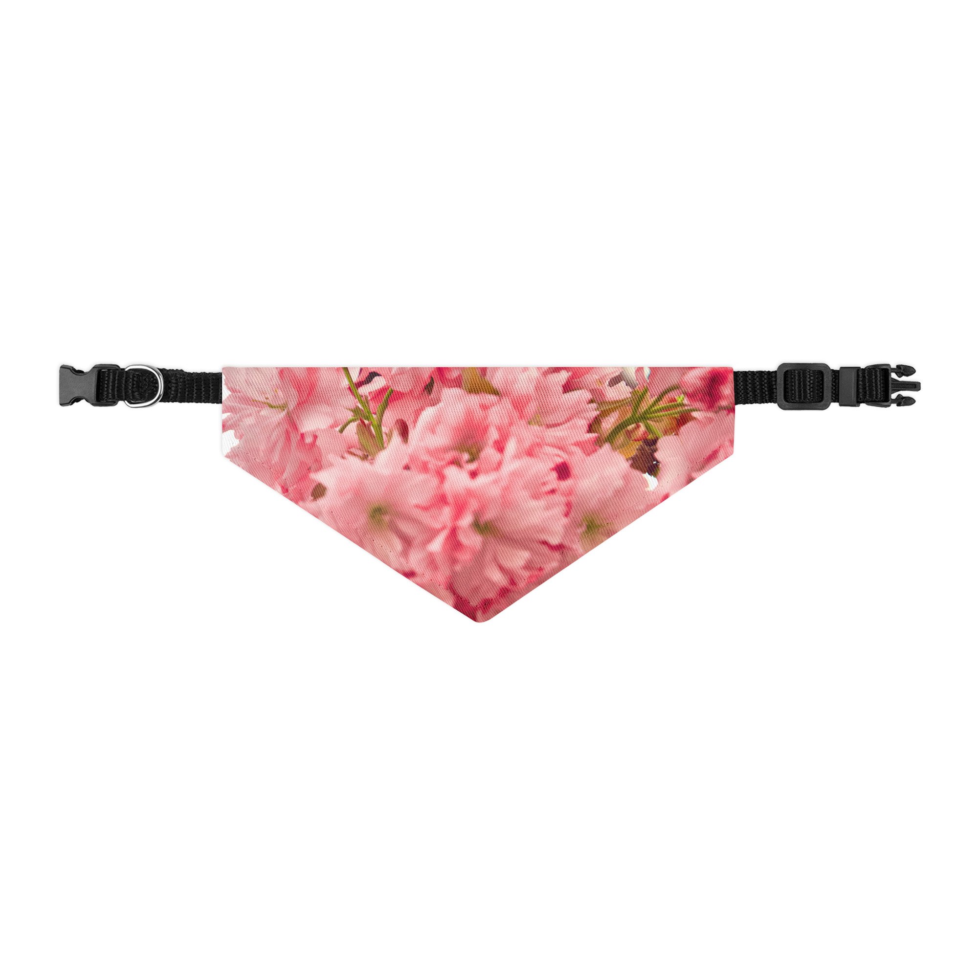 pet-bandana-collar-black-s-front-6a388eb339269.jpg