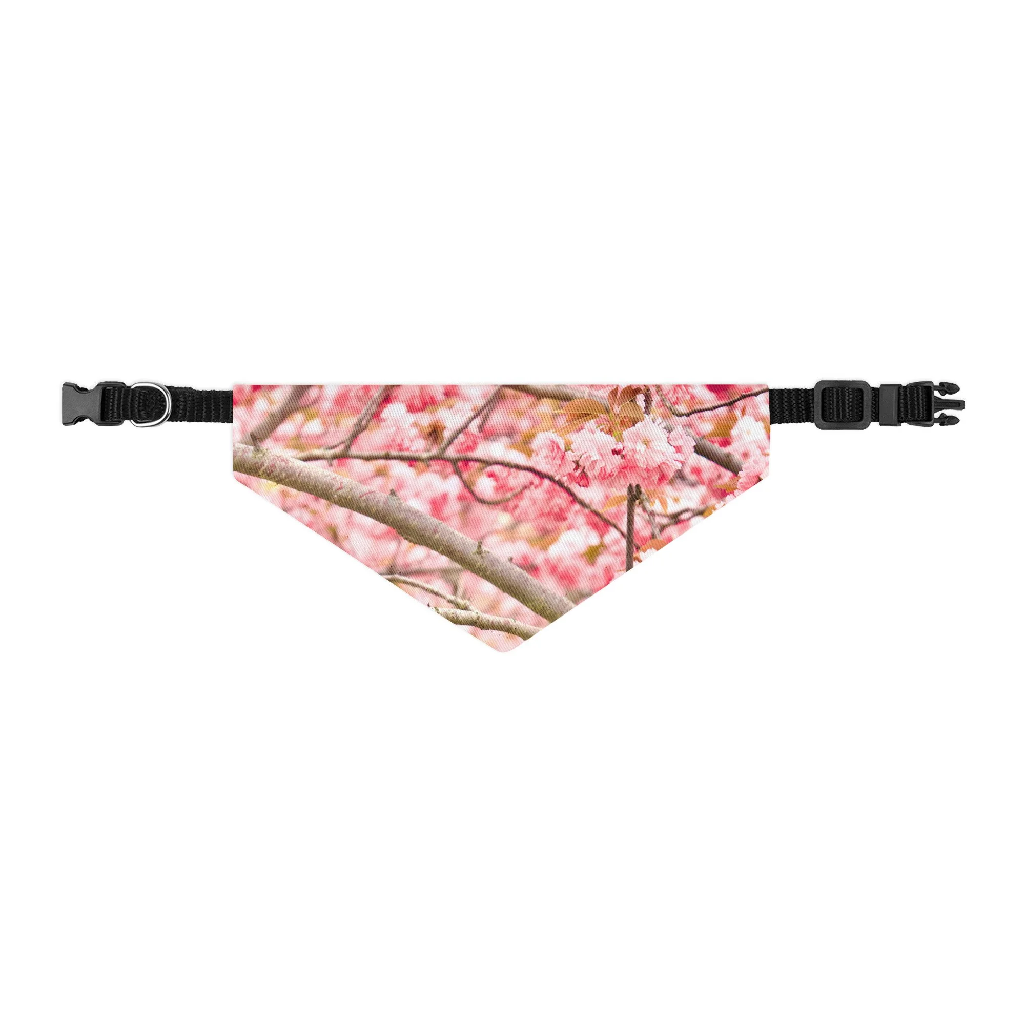 pet-bandana-collar-black-s-front-6a389551eb71c.jpg