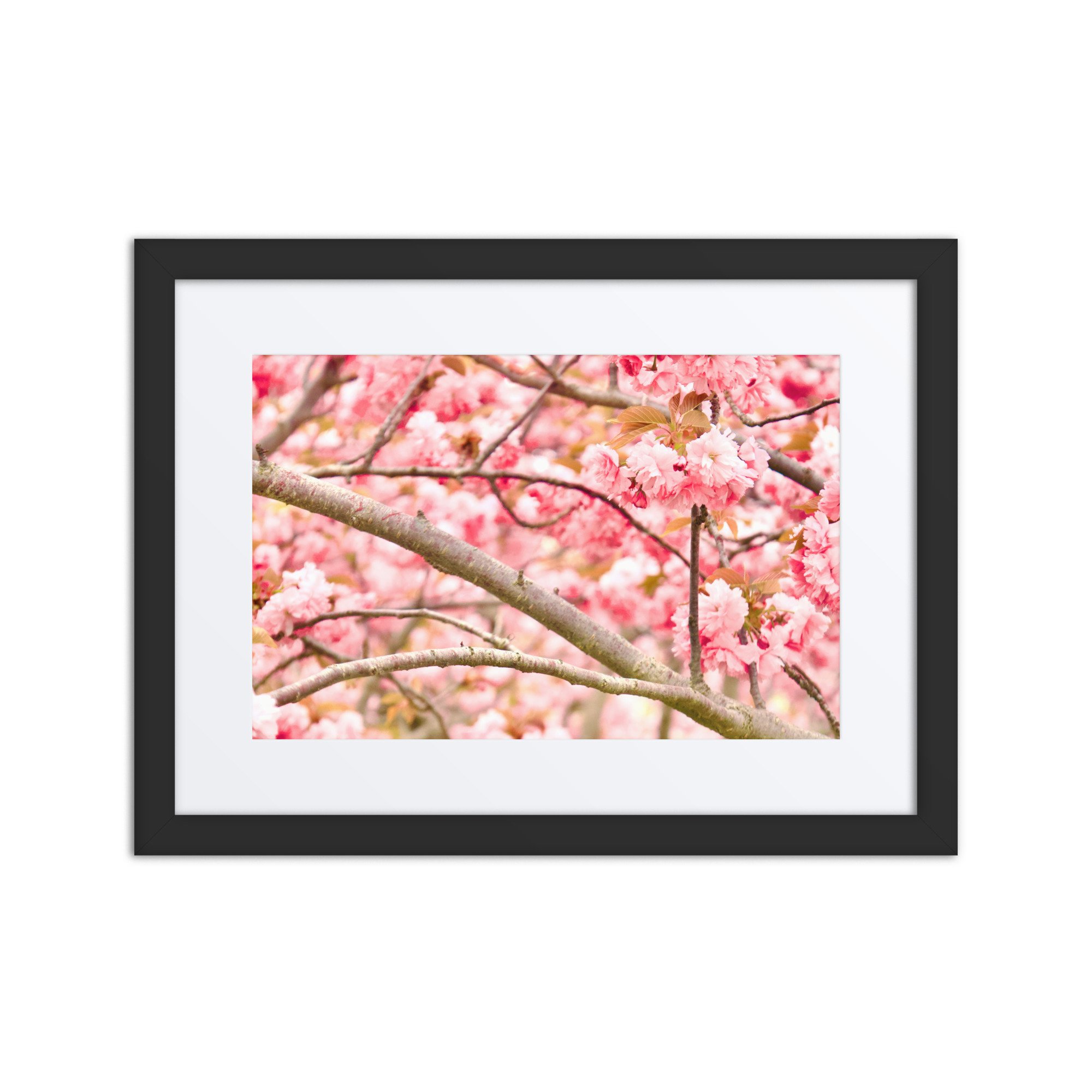 matte-paper-framed-poster-with-mat-(in)-black-12x16-front-6a389624846c8.jpg