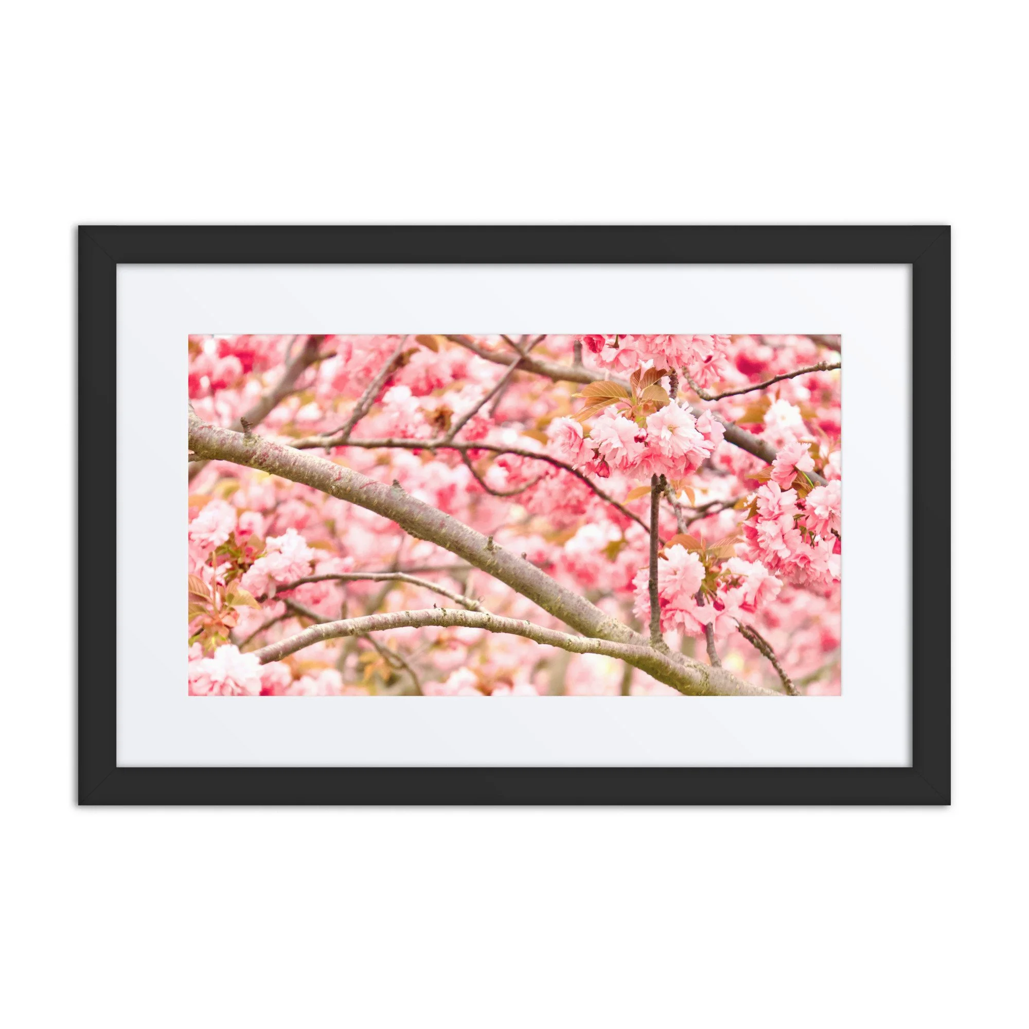 matte-paper-framed-poster-with-mat-(in)-black-12x18-front-6a38962485647.jpg
