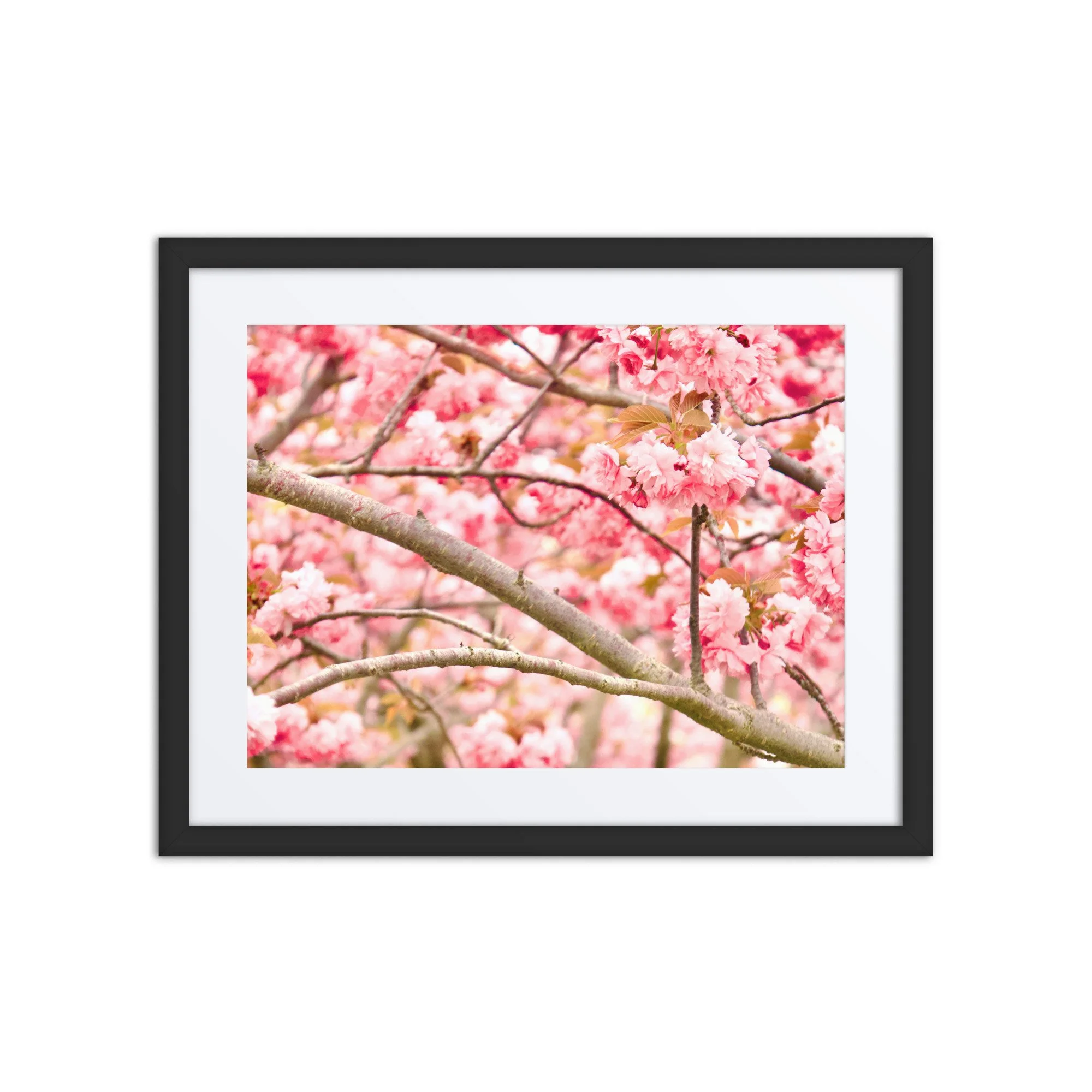matte-paper-framed-poster-with-mat-(in)-black-16x20-front-6a38962485a00.jpg
