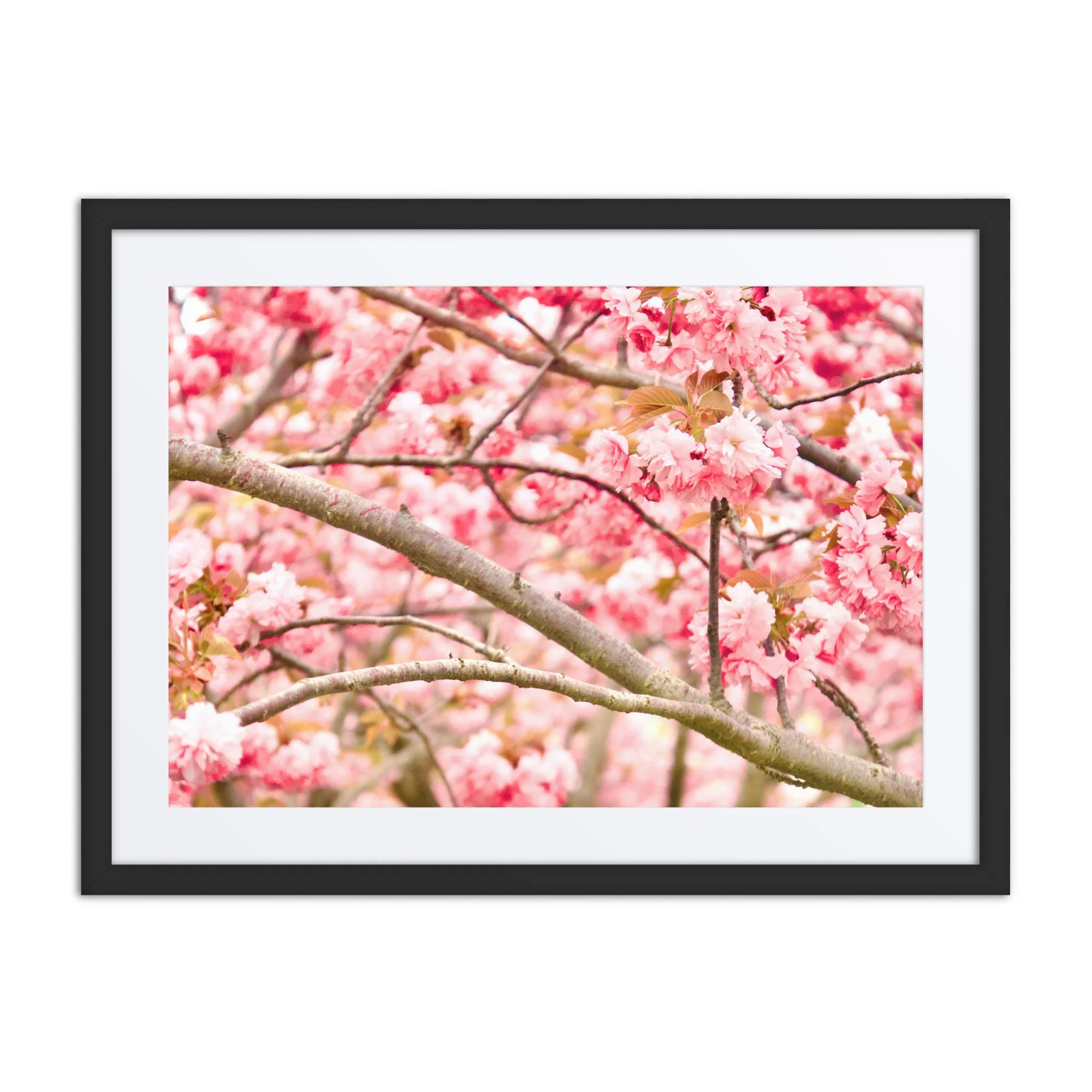 matte-paper-framed-poster-with-mat-(in)-black-18x24-front-6a38962485e11.jpg