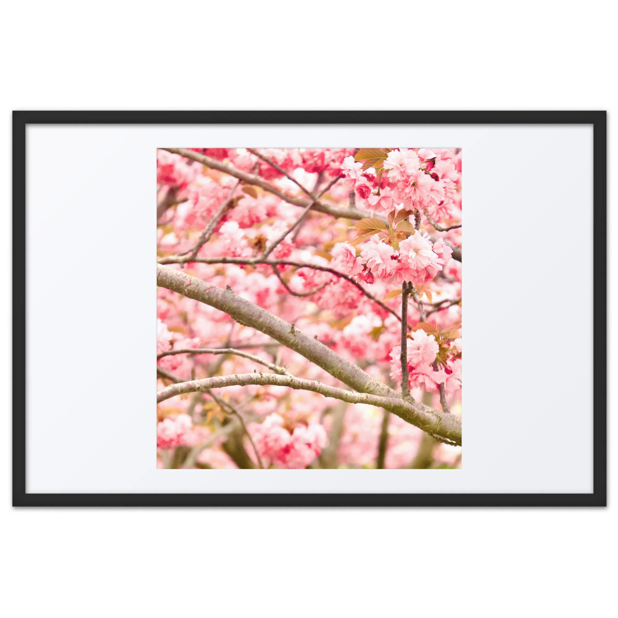 matte-paper-framed-poster-with-mat-(in)-black-24x36-front-6a389624862c2.jpg