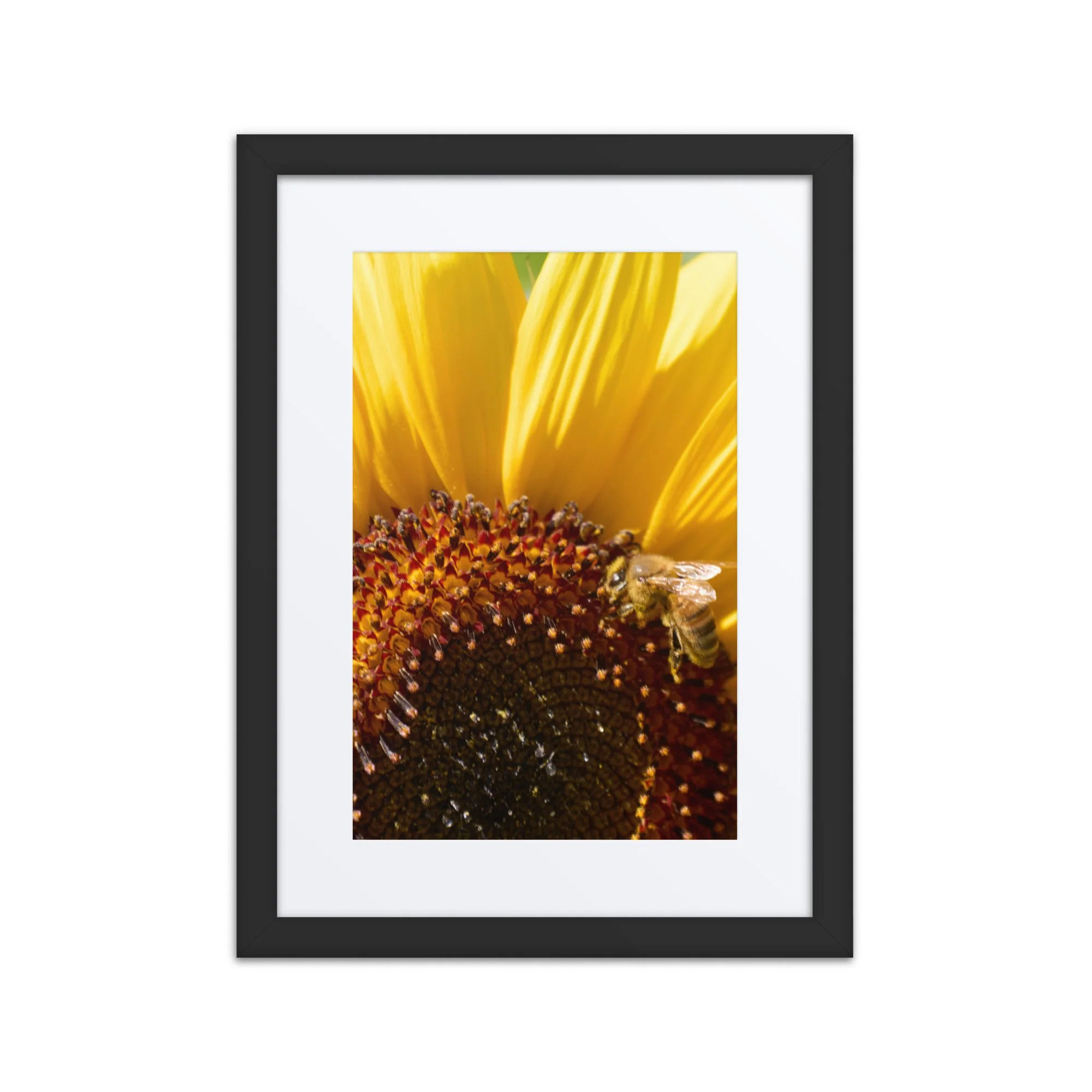 matte-paper-framed-poster-with-mat-(in)-black-12x16-front-6a389feb1e81c.jpg