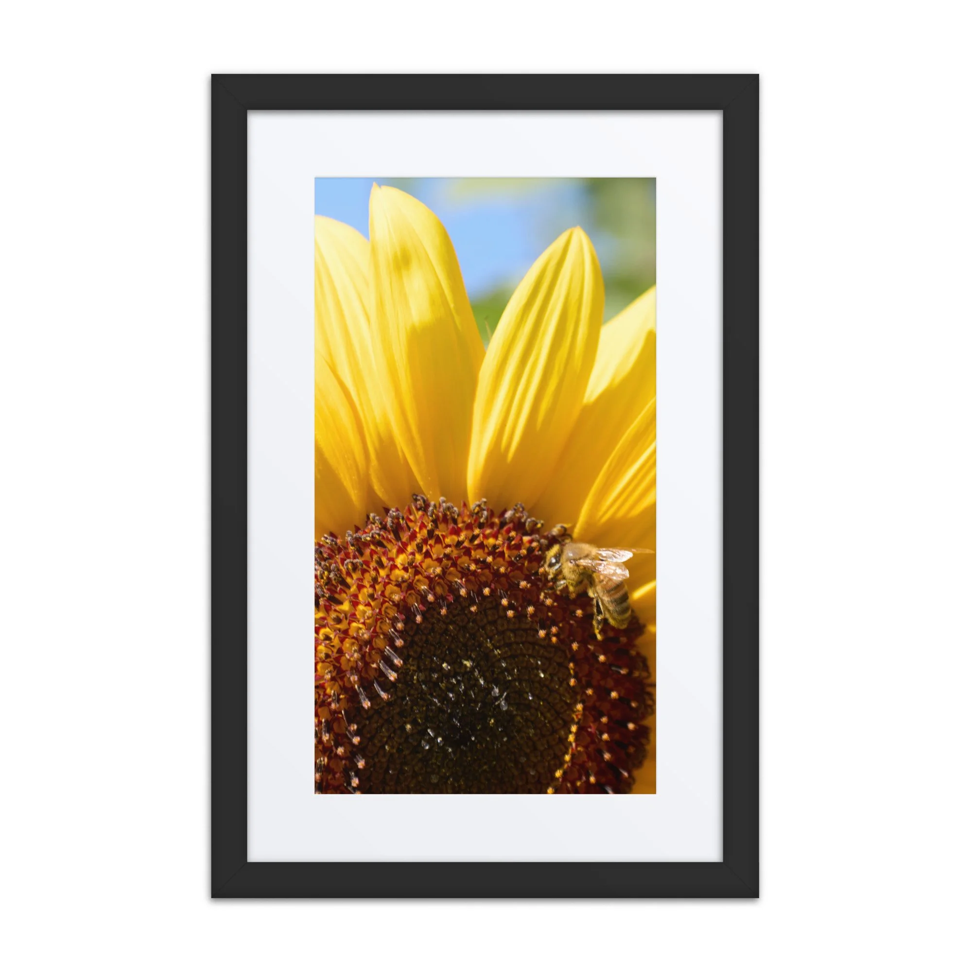 matte-paper-framed-poster-with-mat-(in)-black-12x18-front-6a389feb1f2dd.jpg