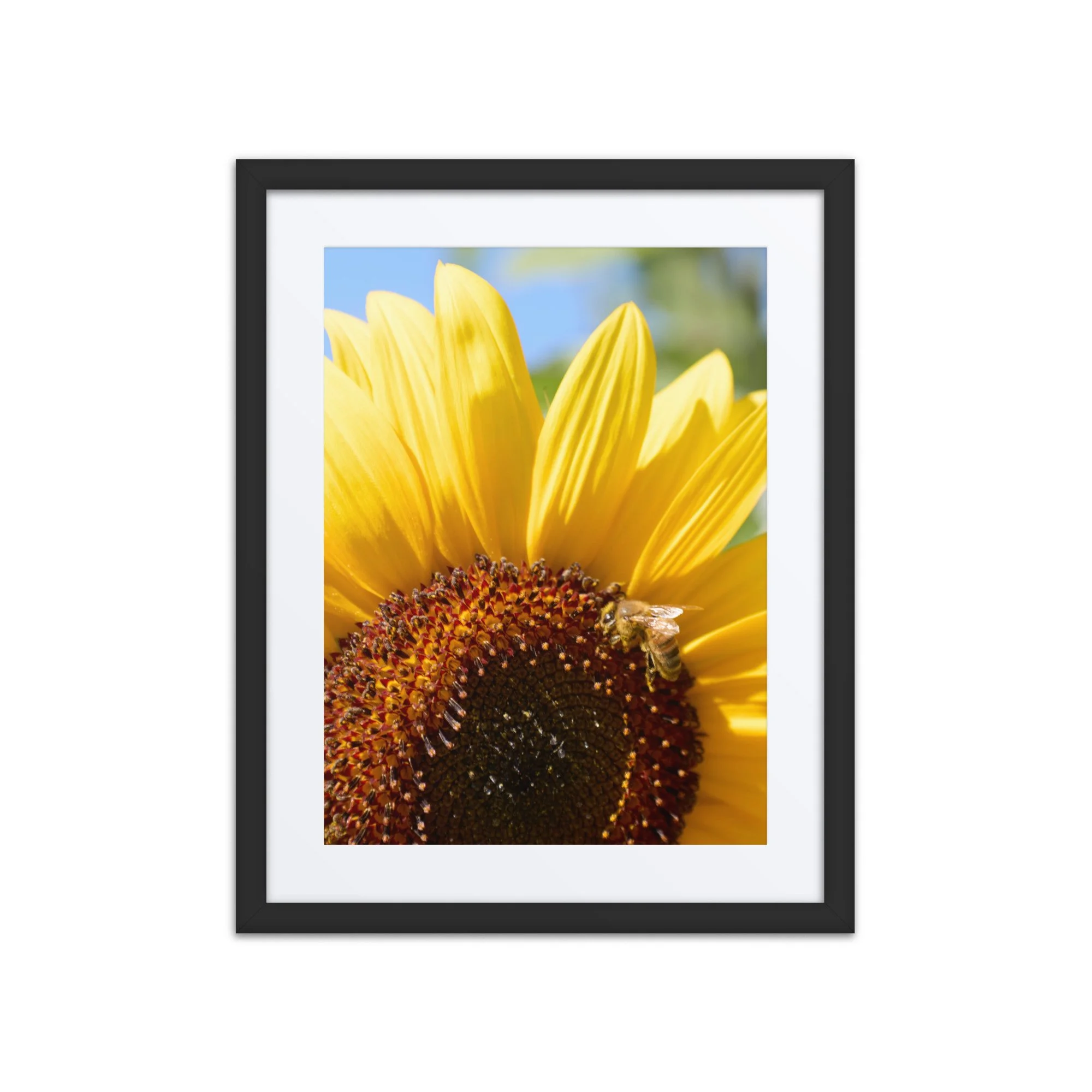 matte-paper-framed-poster-with-mat-(in)-black-16x20-front-6a389feb1f330.jpg