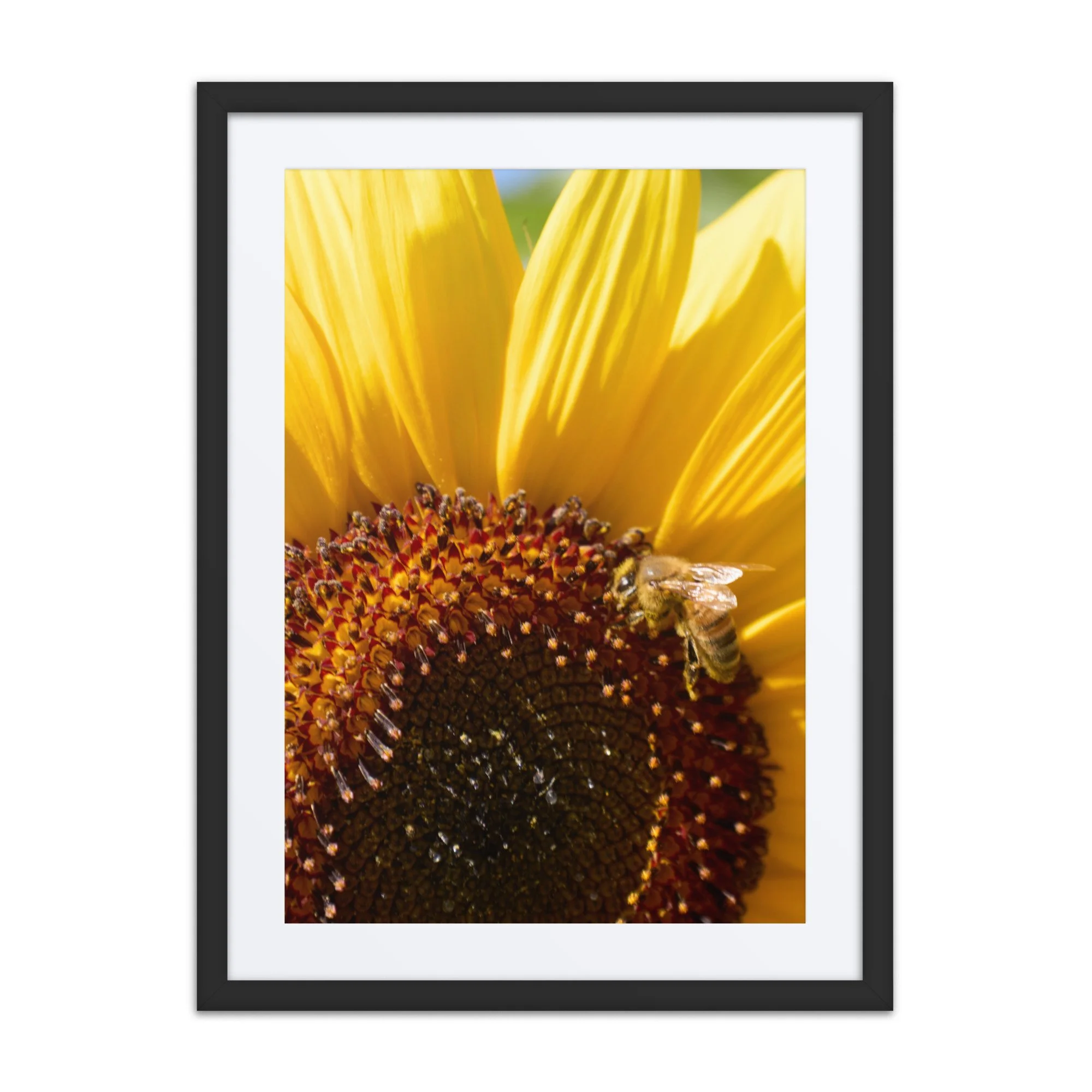matte-paper-framed-poster-with-mat-(in)-black-18x24-front-6a389feb1f36d.jpg