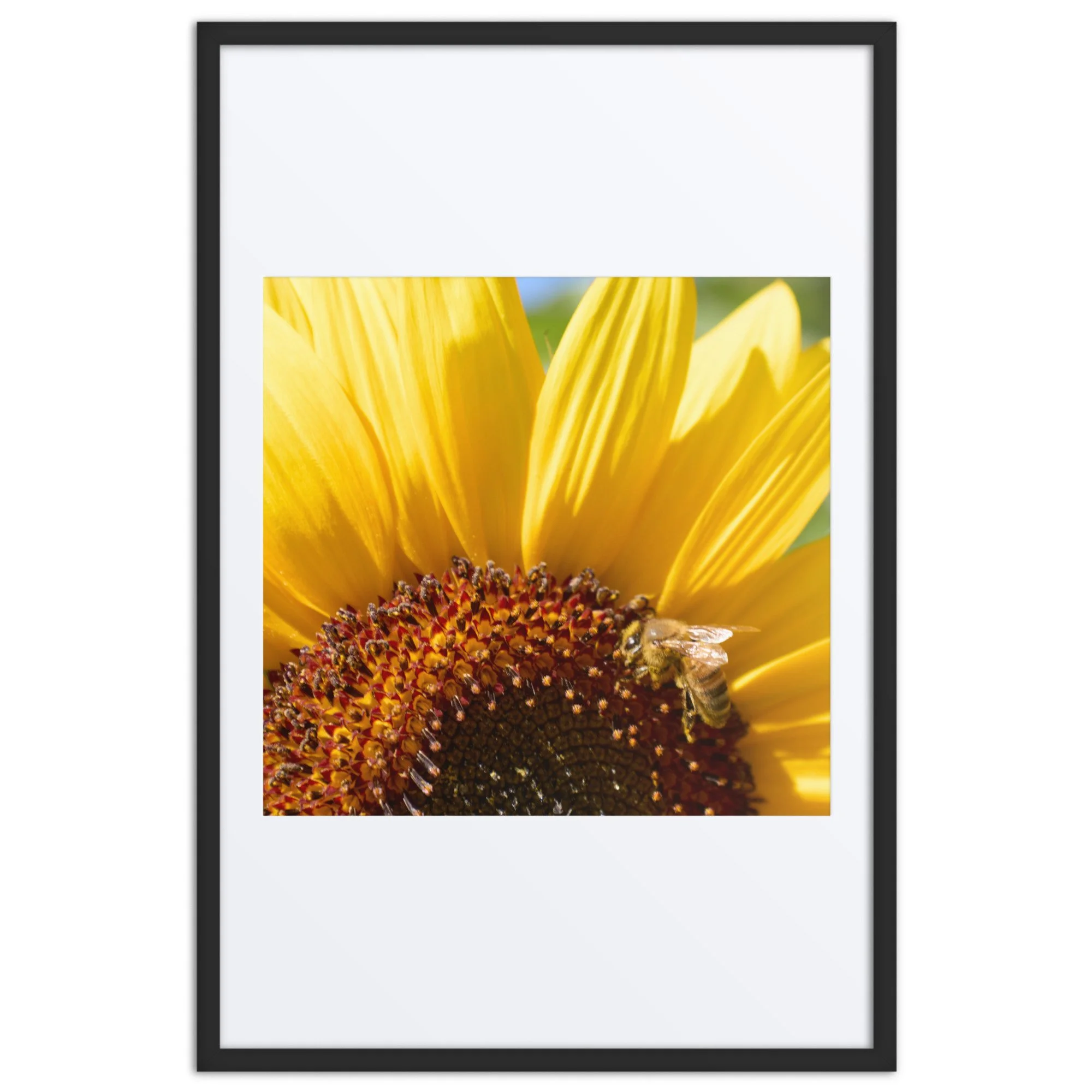 matte-paper-framed-poster-with-mat-(in)-black-24x36-front-6a389feb1f39d.jpg