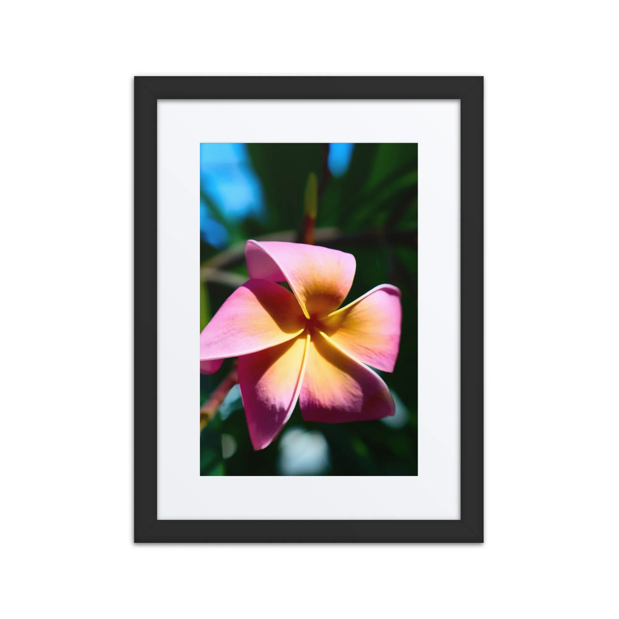 matte-paper-framed-poster-with-mat-(in)-black-12x16-front-6a39d2deb47ca.jpg